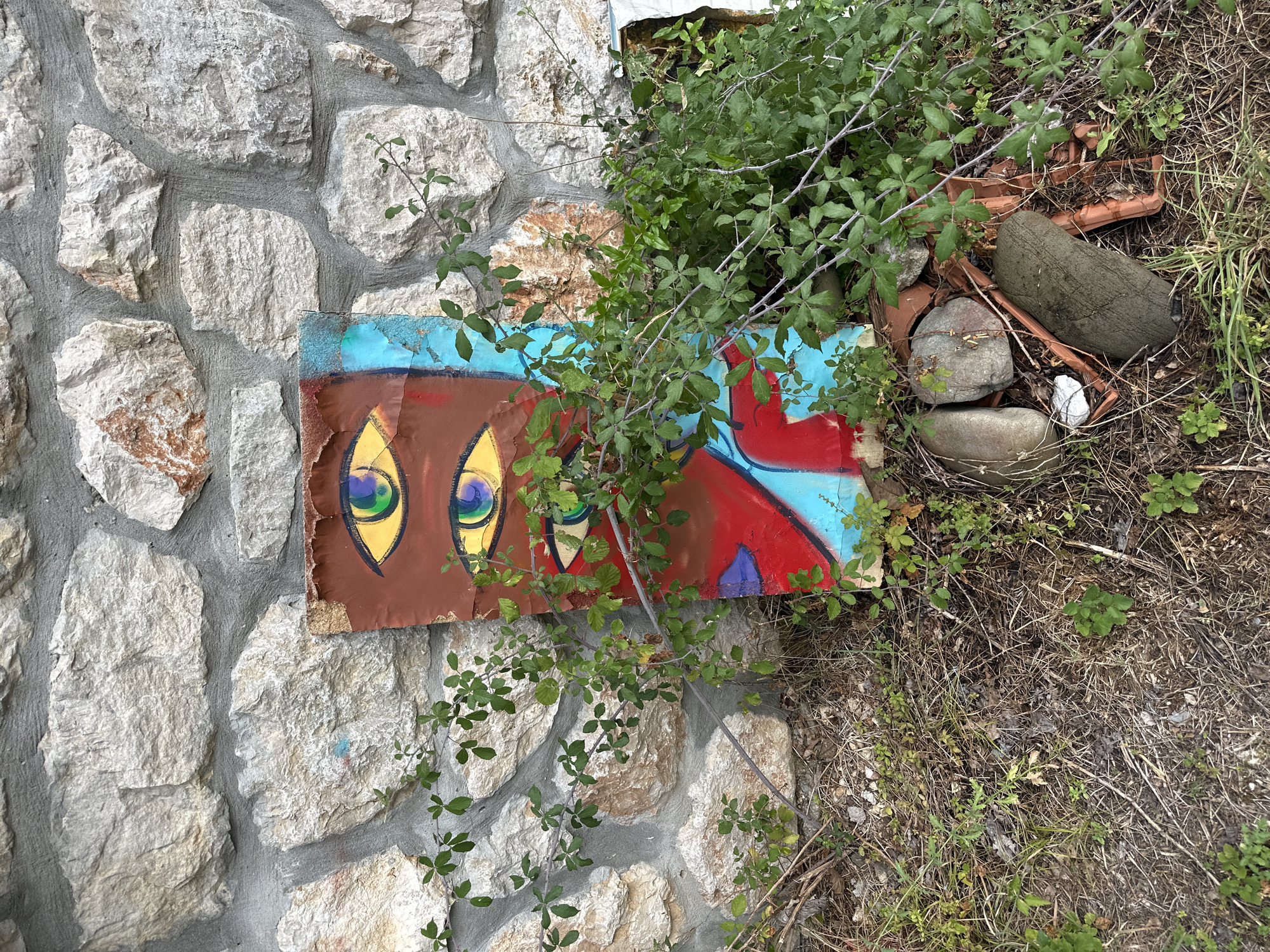 A section of a rough stone wall in Cetinje, Montenegro, serves as the backdrop for a piece of graffiti art. The graffiti is painted on a rectangular board, propped up against the wall, featuring three stylized eyes with yellow irises and blue and green pupils. The board has a reddish-brown base color with splashes of blue and red. Overgrown green vines and branches partially obscure the artwork and the lower section of the wall. The ground in front of the wall is covered with dry grass, dirt, and several rocks, including some smooth, rounded river stones and a piece of broken terracotta pottery. The scene suggests an outdoor, unmaintained area.