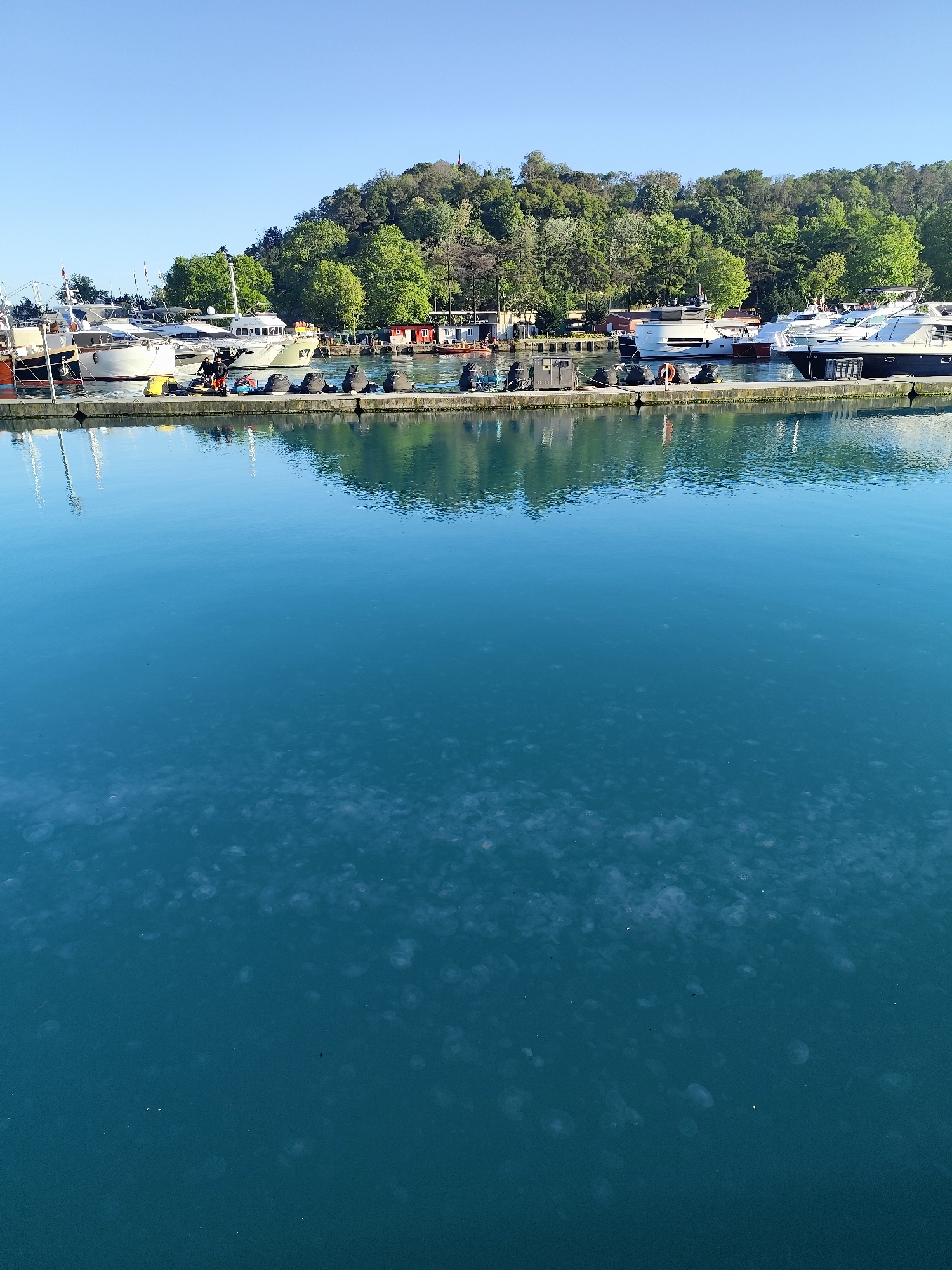 The image depicts a waterfront scene in Sarıyer, Turkey, on a sunny day. A concrete pier stretches across the frame, lined with black mooring bumpers. Several boats of varying sizes are docked along the pier. Two people are visible on the pier, near the center of the image, possibly engaged in boat-related activities. Behind the pier, a lush green hillside slopes upwards. The water is a clear turquoise, with a noticeable scattering of translucent objects resembling jellyfish or other marine organisms floating near the surface. The sky is clear and blue.