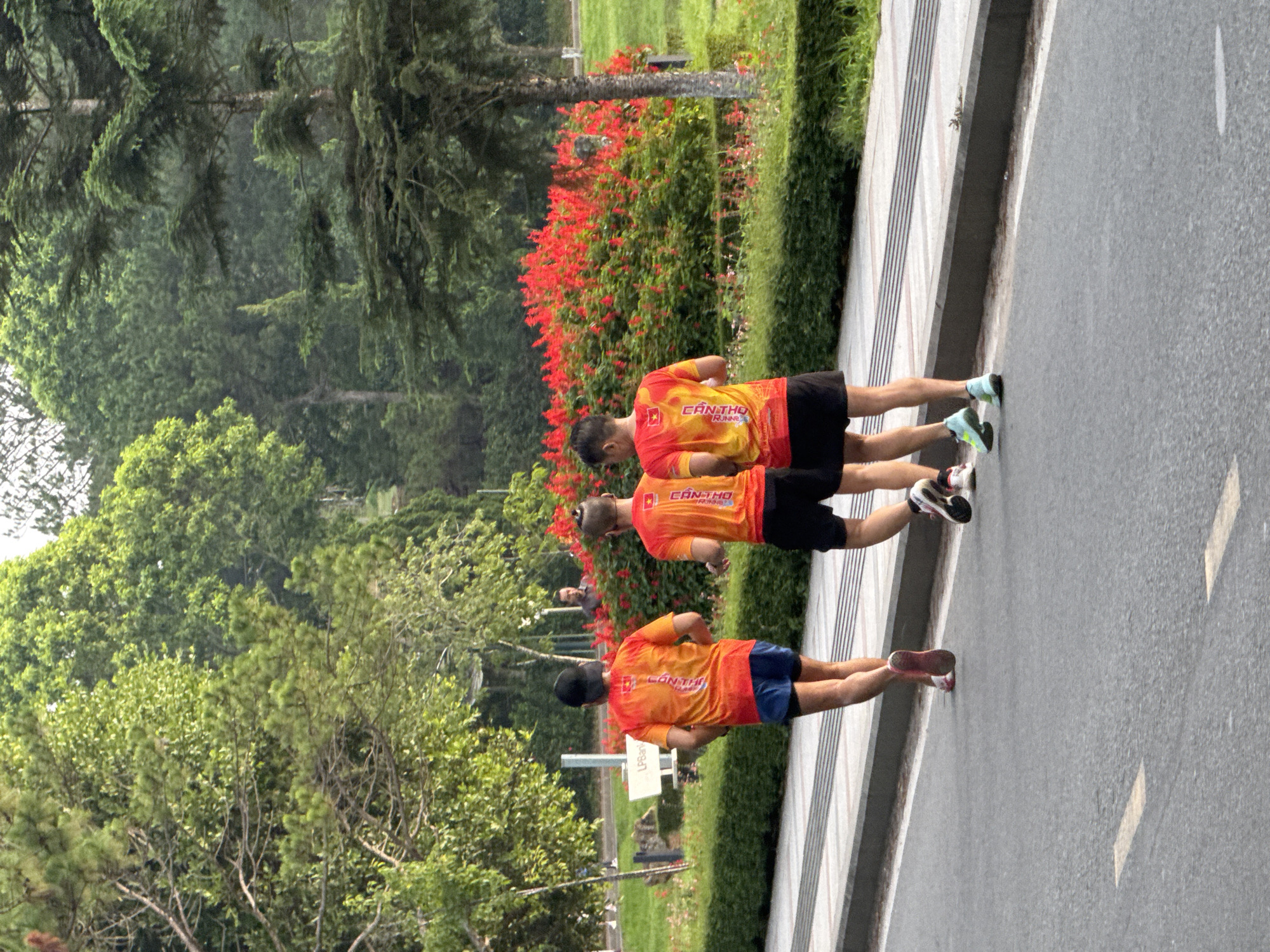 This image captures a daytime scene of three individuals jogging on an asphalt road adjacent to a meticulously maintained park. The perspective is from behind the individuals, who are moving away from the viewer.
**People:**
Three adult males are in the foreground, all wearing identical orange short-sleeved athletic shirts with a Vietnamese flag emblem and the text "CẦN THƠ RUNNING" prominently displayed on the back. The leftmost runner wears a dark baseball cap, blue shorts, and red running shoes. The middle runner wears black shorts and dark running shoes. The rightmost runner wears black shorts and light blue-green running shoes. In the mid-ground, partially obscured by a dense bush of red flowers, a fourth male figure is visible, wearing a dark shirt and possessing dark hair and a beard, seemingly observing the scene.
**Subjects and Objects:**
The asphalt road features faded white dashed lines. A concrete sidewalk with parallel tactile lines separates the road from a curb. A white sign with "LPBank" written on it is visible in the mid-ground, partially hidden by foliage.
**Environment and Location:**
The setting is a park-like environment, characterized by lush greenery and vibrant floral displays. A prominent bed of bright red flowering plants, likely *Salvia splendens*, dominates the mid-ground to the right. Beyond the sidewalk, there are well-manicured green lawns and numerous mature trees, including both lighter green deciduous species and darker green conifers/pines, which populate the background and mid-ground. The overall landscape suggests a temperate climate with rich vegetation. The light is soft and even, characteristic of morning or late afternoon. While the runners' shirts indicate "Cần Thơ," the serene, verdant park environment with diverse tree cover is consistent with scenic routes or public park areas found within the city of Da Lat, Vietnam, known for its cool climate and lush landscapes.
**Actions and Interactions:**
The three foreground individuals are engaged in running or brisk walking, demonstrating active movement. The fourth individual in the background appears to be stationary, observing the activity.