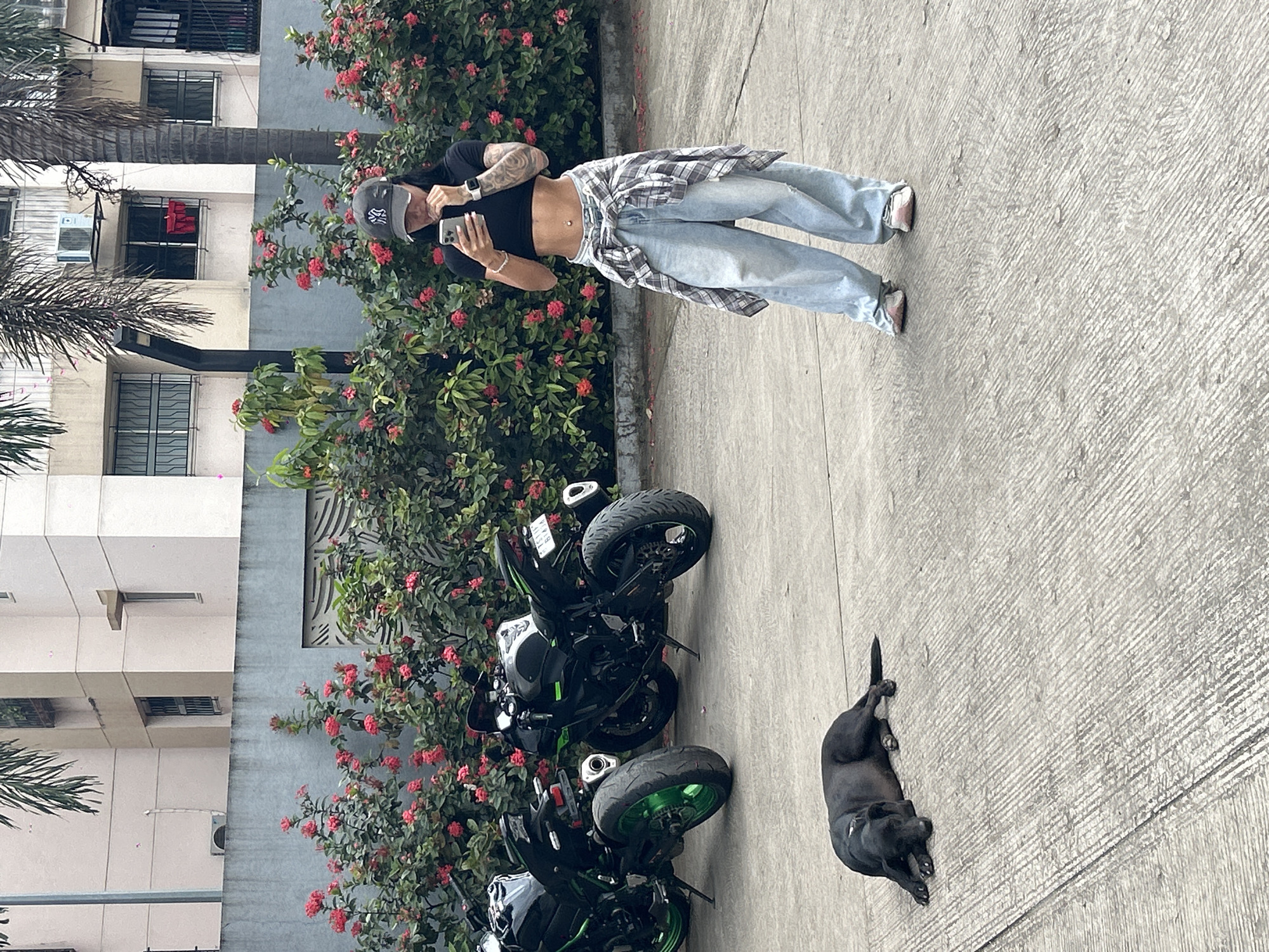 A black dog sleeps on a concrete surface in front of a wall covered with red-flowering plants. Behind the plants, two black motorcycles are parked. A young woman wearing a black crop top, light blue baggy jeans, a grey and white checkered shirt tied around her waist, and a black baseball cap is standing and looking at her phone. She has tattoos on her arms. The background features a multi-story building with balconies and windows. The scene appears to be an outdoor area in Pune, India, possibly a parking lot or residential complex courtyard.