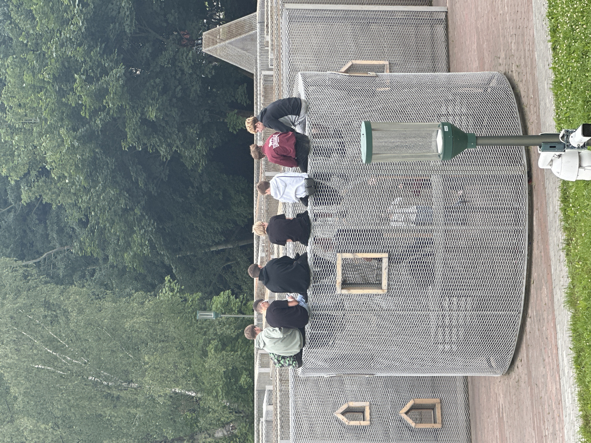A group of eight boys, appearing to be teenagers, are seated on the top edge of a circular, mesh-enclosed structure in an outdoor urban setting, likely a playground or recreational area. The boys are positioned from left to right, with the first two from the left facing away from the camera and the remaining six also with their backs to the viewer. They are dressed casually in hoodies and t-shirts. The structure they are sitting on is part of a larger maze-like construction with mesh walls and small wooden framed openings resembling windows. In the foreground, a light pole with a green lantern-like fixture and two security cameras is visible. The background consists of lush green trees and foliage. The ground is paved with brickwork and grass. The lighting suggests it is daytime, with overcast conditions. The image does not contain any specific landmarks that would pinpoint its location to Chernyakhovsk, Russia.
