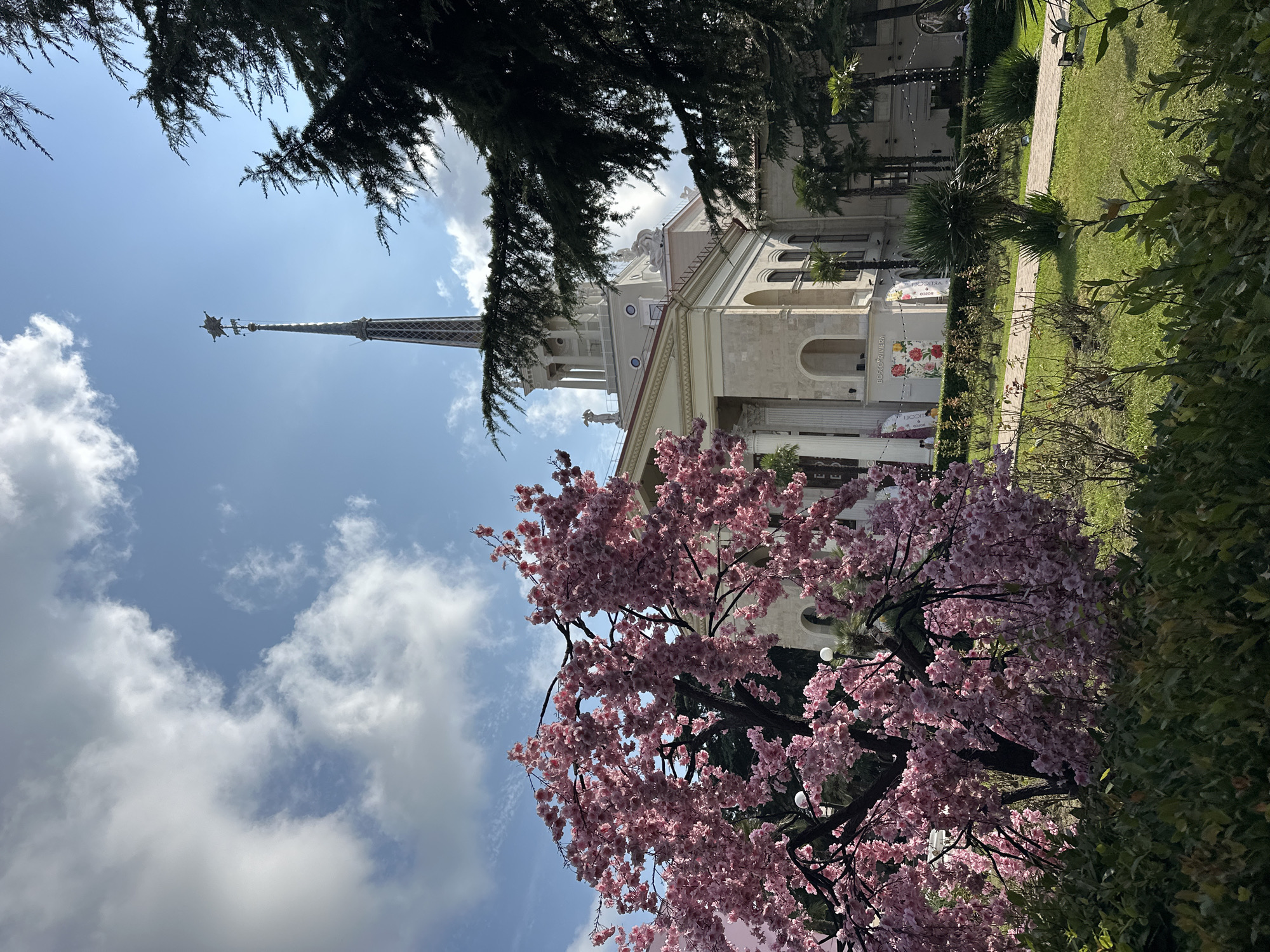 This image captures a view of the Sochi Sea Port building in Sochi, Russia, on a sunny day with scattered clouds. In the foreground, a vibrant pink cherry blossom tree is in full bloom, its branches arching over a well-maintained lawn. To the right, a large conifer tree partially obscures the view of the building. The Sochi Sea Port is a grand, neoclassical structure with a tall, slender spire topped with a star. The building features classical columns, arched windows, and decorative sculptures. Palm trees and manicured bushes are visible in the garden area in front of the building, along with a wooden pathway. Several people are faintly visible in the distance, suggesting a public space. The overall atmosphere is bright and serene, characteristic of a pleasant day in a coastal city.