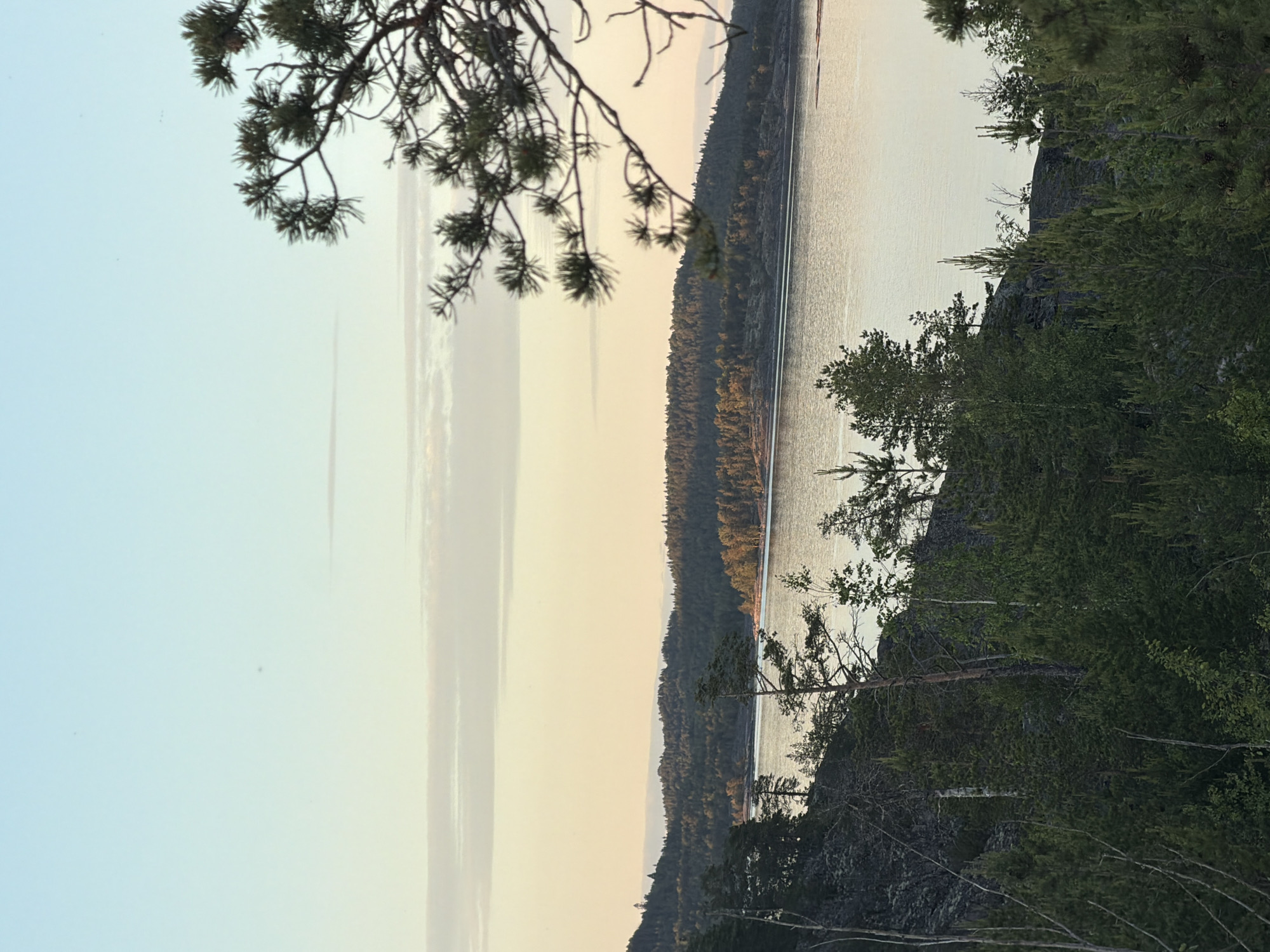 The image shows a wide view of a calm body of water, likely a lake or a bay, bordered by densely forested hills. The sky is a pale blue, transitioning to a warm, soft yellow near the horizon, suggesting either sunrise or sunset. Wispy clouds are visible. In the foreground and mid-ground, pine trees dominate the landscape, with some bare branches and trunks indicating a rugged, natural environment. The water reflects the soft light of the sky, creating a gentle shimmer. There are no people or man-made structures immediately apparent, giving the scene a tranquil and remote feel. The overall impression is one of serene natural beauty.