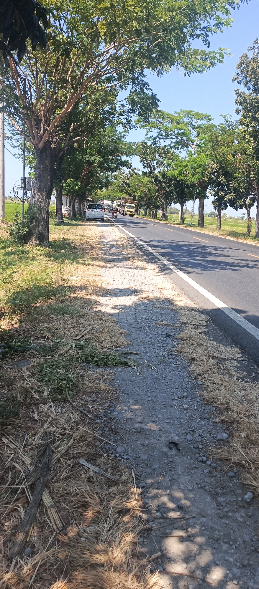 The image depicts a roadside scene in Landangan, Indonesia. A paved road runs diagonally from the bottom right to the upper left, bordered by a gravel shoulder and dry grass. On the left side of the road, a line of trees with full green canopies shades the area. A white car is parked on the shoulder, and further down the road, there is a traffic jam with several trucks and a motorcycle. The sky is clear and blue, indicating a sunny day. The environment appears rural, with glimpses of rice paddies visible behind the trees. The overall impression is one of a typical day on a busy rural road.