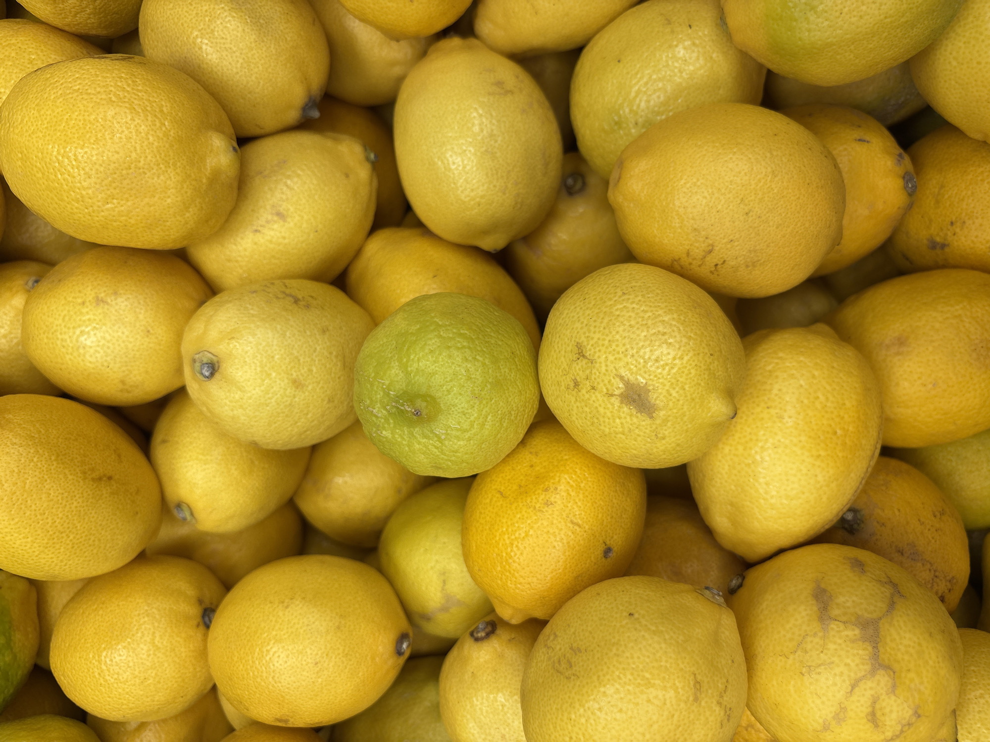 A pile of ripe lemons is displayed in a market in Boreti, Montenegro. The lemons are predominantly bright yellow, with some showing a slightly greener hue, suggesting varying stages of ripeness. One lemon in the upper center of the image stands out as distinctly green. The textured rind of the lemons is visible, indicating their fresh, natural state. The lemons are tightly packed together, forming a dense, irregular mound. There are no people or other objects visible in the frame, focusing solely on the fruit. The lighting appears to be natural, casting subtle shadows that highlight the roundness and contours of the lemons.