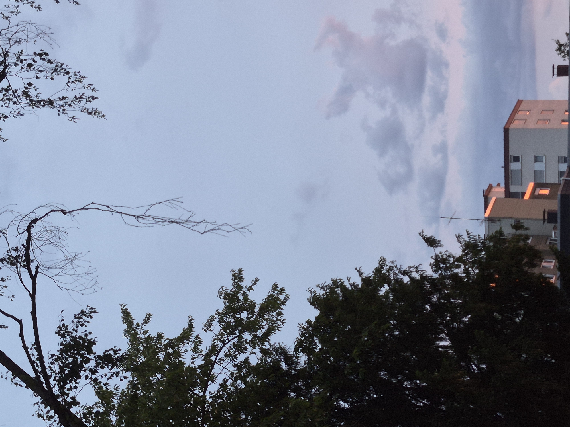 The image depicts an outdoor scene with a clear sky and some clouds. In the foreground, on the left, a large, dark green tree occupies a significant portion of the frame. Its branches extend upwards and towards the center of the image. In the background, a building with multiple windows and a red roof is visible. The sky is a gradient of light blue, with some pink and gray hues, suggesting it might be dawn or dusk. There are no people or animals visible in the scene.