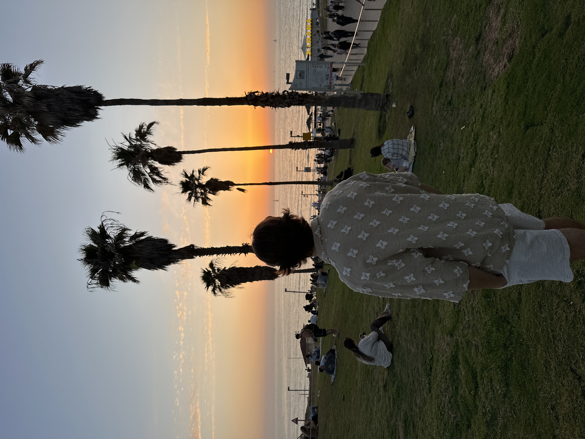 The image captures a sunset scene at a beach in Tel-Aviv, Israel. In the foreground, a person stands on green grass, facing toward the ocean. The person is wearing a light-colored patterned top and white shorts. Along the beach, several palm trees are visible silhouetted against the sky. There are several groups of people along the shore line enjoying the beach. The sky is colored in hues of orange and yellow. The ocean stretches toward the horizon, reflecting the colors of the sunset. A concrete barrier runs along the edge of the grass.