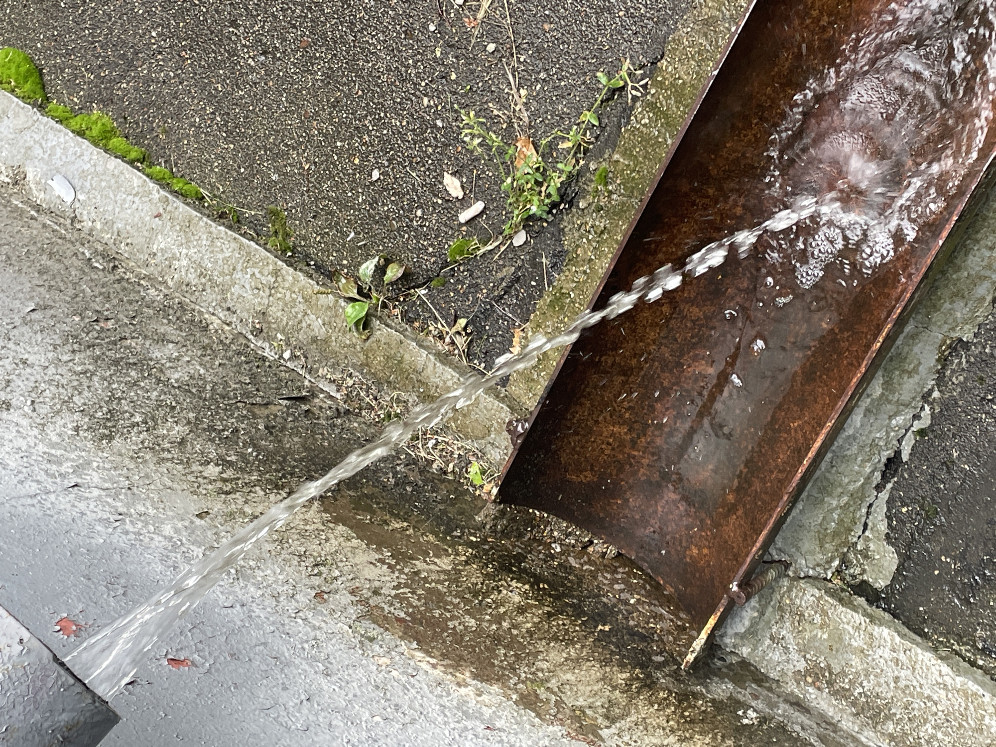 A close-up, high-angle shot captures a stream of water flowing from a gray pipe with peeling paint into a rusty metal gutter. The gutter is positioned between a rough concrete curb and asphalt paving. Green moss grows along the edge of the curb, and small plants and weeds sprout from the asphalt and cracks in the concrete. The water creates ripples and splashes as it enters the gutter. The scene appears to be an outdoor urban environment, possibly a drainage area or a leaky pipe. No people are visible in the image.