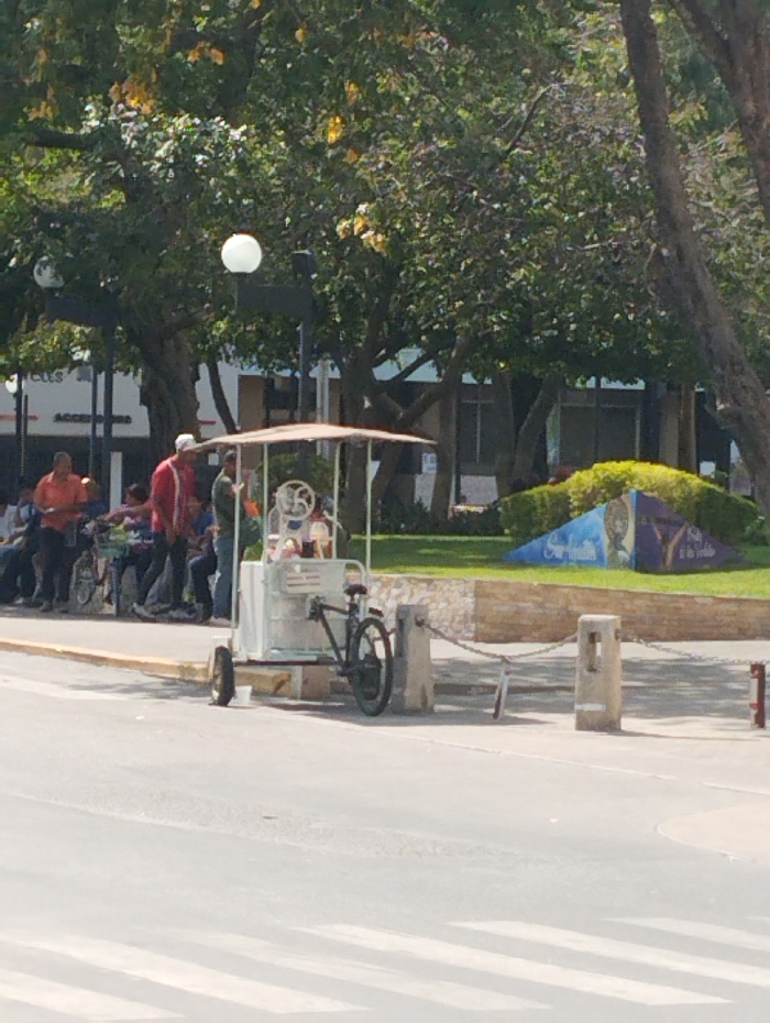 The image displays an outdoor urban environment in Guacara, Venezuela. A light-colored vendor cart, equipped with a small canopy and integrated bicycle components, is positioned at the edge of a paved area adjacent to an asphalt road. The cart is supported by at least three wheels: a bicycle wheel at the rear and a smaller wheel visible on the cart's left side. A person is partially obscured behind the cart. To the left of the cart, a group of approximately five to seven individuals, including a man in a red shirt and white cap and another in an orange shirt, are gathered. Several bicycles are visible near this group. The foreground shows light-colored asphalt with faint white pedestrian crossing stripes. On the right, three concrete bollards, interconnected by chains, mark a barrier. The background features dense green foliage from numerous trees, some exhibiting yellowing leaves, under a bright sky. Two spherical white streetlights are discernible amongst the trees. Behind the cart and to the right, a raised garden bed with neatly trimmed green bushes and a multi-colored, triangular art installation are present on a grassy patch. Distant building structures are faintly visible through the trees.