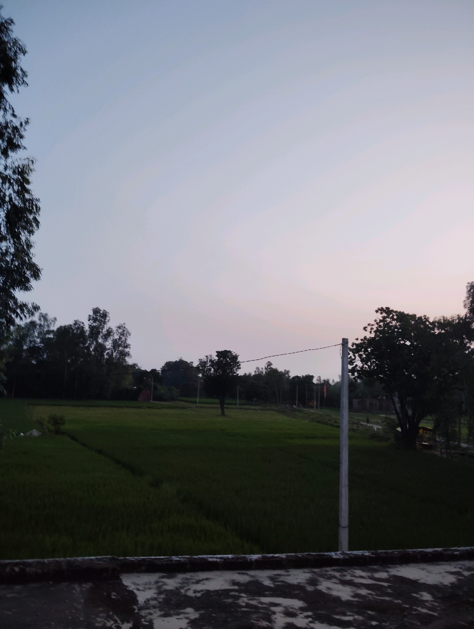 This is a vertical, medium-shot photograph taken in Kunda, India, depicting a rural landscape at dusk. The sky is a gradient of pale blue and faint pink, indicating the transition from day to night. In the foreground, a rough, concrete ledge with a mottled, dark gray and white surface runs horizontally across the bottom of the frame.
Behind the ledge, a lush green field of crops stretches into the middle ground. The field is unevenly lit, with darker and lighter patches suggesting shadows and variations in terrain. Several trees, varying in size and density of foliage, are scattered throughout the landscape. On the left side of the frame, the dark, leafy branches of a tall tree extend downwards from the top edge. In the middle distance, a cluster of trees forms a dark silhouette against the lighter sky. To the right of the field, a larger, mature tree with dark leaves is prominent.
A vertical, light gray pole, likely a utility pole, stands in the mid-ground, slightly to the right of center. A thin wire stretches horizontally from this pole towards the left. In the background, beyond the field and trees, hints of structures and more distant trees are visible. The overall impression is one of a tranquil, rural evening scene.