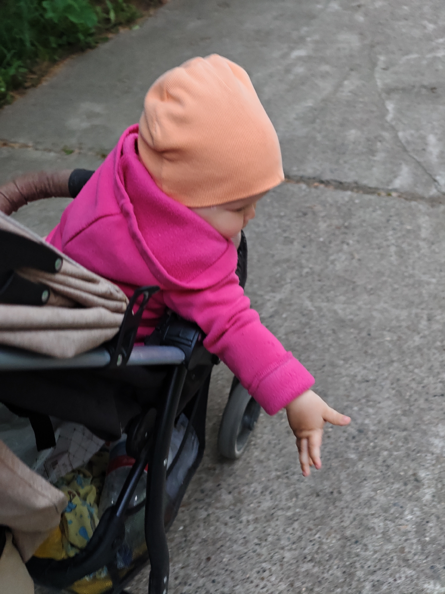 This image depicts a baby or toddler seated in a stroller on an outdoor paved path in Chaikovsky, Russia. The child is wearing an orange ribbed beanie and a fuchsia/hot pink hooded jacket. Their face is largely obscured as they look downwards and to the right, extending their right arm and hand towards the ground, suggesting an interaction with something just out of frame or a gesture of curiosity.
The stroller has a dark-colored frame, a brown, textured handlebar, and beige fabric lining. A wheel of the stroller is partially visible in the lower left. Within the stroller's storage basket, some crumpled yellow fabric with blue patterns and what appears to be a water bottle with a red cap are discernible.
The scene is set on a grey, textured paved surface, likely concrete or asphalt, which shows some cracks. Green foliage, possibly bushes or grass, is visible along the edge of the path in the upper left background. The lighting is soft and natural, indicating either an overcast day, early morning, or late afternoon. There is no visible text in the image. The overall impression is a candid moment of a young child exploring their surroundings while being pushed in a stroller.