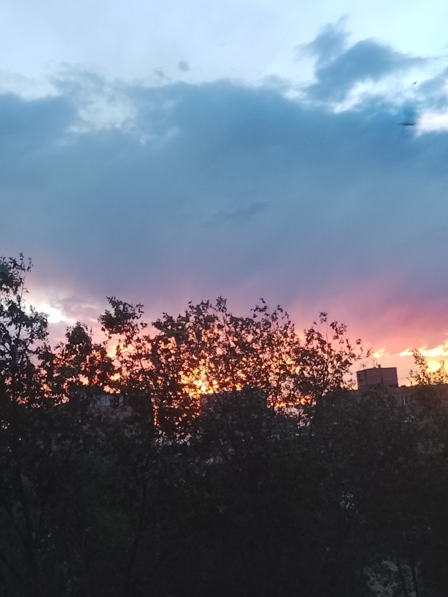 An outdoor, vertical, eye-level medium shot captures a sunset behind trees in an urban setting. The sky displays a gradient of colors, transitioning from pale blue at the top to vibrant pink and orange hues where the sun is setting. Dark silhouettes of trees and buildings are visible in the foreground and midground. The trees are dense with leaves, and their branches form a jagged line against the colorful sky. In the distance, buildings are partially obscured by the trees, appearing as dark shapes. The image is slightly blurry, suggesting it was taken with a handheld device in low light conditions. The overall scene depicts a twilight sky with a touch of warmth from the setting sun, contrasted by the dark silhouettes of the urban landscape.