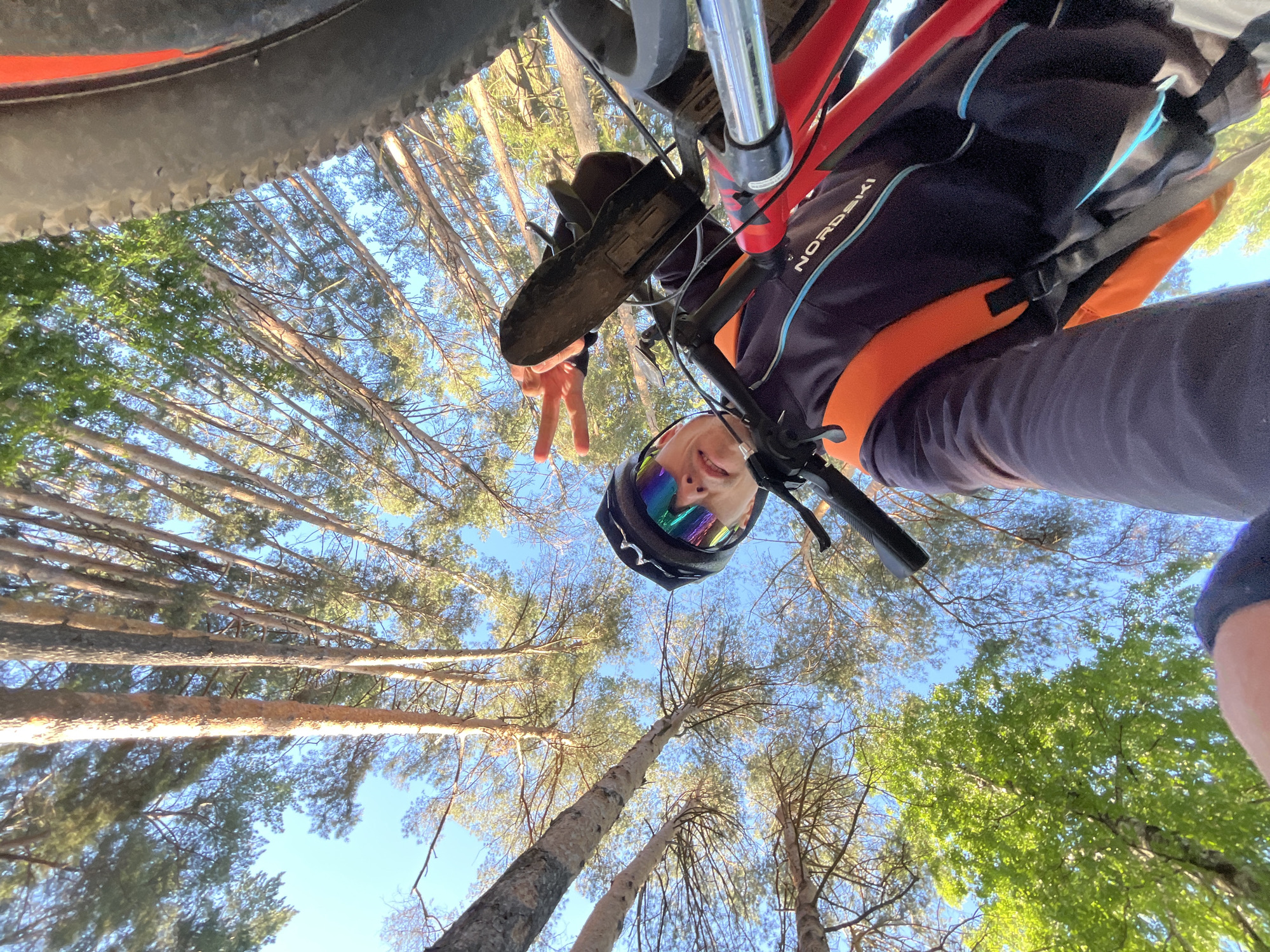 An upside-down, wide-angle, outdoor, first-person perspective shot captures a person on a bicycle, looking up at the canopy of a forest. The clear blue sky is visible between the tall, slender pine trees, with some green foliage in the upper left corner. The person, wearing a black helmet with iridescent goggles and a dark jacket with orange accents and the word "NORDASKI" printed on it, is holding up a hand with two fingers extended in a peace sign. Their left foot is on a pedal of the bicycle, which is a vibrant red. The texture of the bicycle tire is visible in the upper right corner. The scene appears to be set in a wooded area, possibly in or near Chaikovsky, Russia, given the commonality of pine forests in the region. The lighting suggests it is daytime, with sunlight filtering through the trees.
