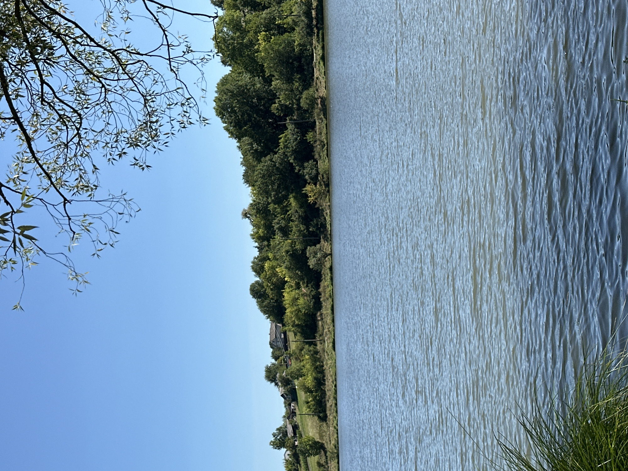 The image depicts a scenic view of a body of water, likely a lake or river, with a verdant hillside dotted with houses in the background. The sky is clear and blue, with tree branches extending into the frame from the top right. The water's surface is rippled, reflecting the light and creating a sense of gentle movement. Tall green grass is visible in the foreground on the left side of the image. The hillside is covered with lush green trees, and several houses with dark roofs are nestled among them. A path or road appears to run along the top of the hillside. The overall scene suggests a peaceful, rural setting. This view is consistent with locations found in and around the city of Makiv, Ukraine, known for its natural beauty and tranquil landscapes.