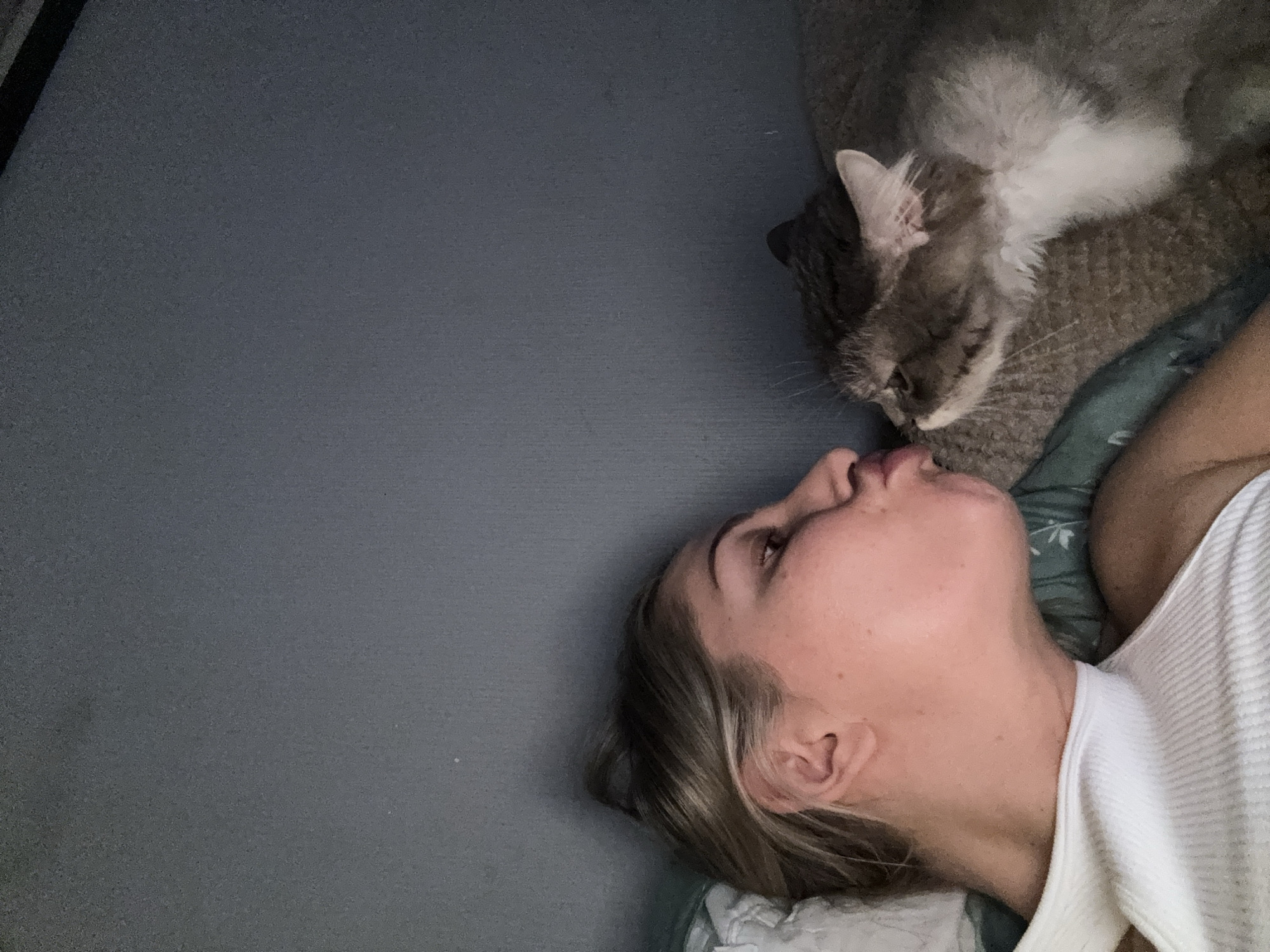 An overhead shot captures an intimate moment between a person and a cat, both lying down. The scene is lit softly, suggesting an indoor setting with subdued lighting.
On the right side of the frame, a person, identified as a woman, lies on her back, viewed from her right side. Her face is turned slightly towards the left, with her lips gently pursed, as if offering a kiss or receiving one. She has light-colored hair, part of which is visible against a patterned pillow or blanket beneath her head, which features a greenish-blue color with leaf-like designs. She is wearing a white, ribbed top, possibly a tank top or camisole.
Above and to the left of the woman's head, a domestic cat with gray and white fur is positioned. Its head is turned towards the woman, and its nose is touching or nearly touching the woman's lips. The cat's eyes appear to be closed or cast downwards, contributing to the tender atmosphere. The cat's body is partly on the same patterned fabric as the woman's head and partly on a dark, textured surface that seems to be a bed or pet bed.
The left side of the image is dominated by a flat, dark gray surface, possibly a floor, mat, or another bedding surface, creating a simple backdrop that emphasizes the interaction between the subjects. The overall mood is one of affection, peace, and closeness between the woman and her pet. There is no visible text in the image.
