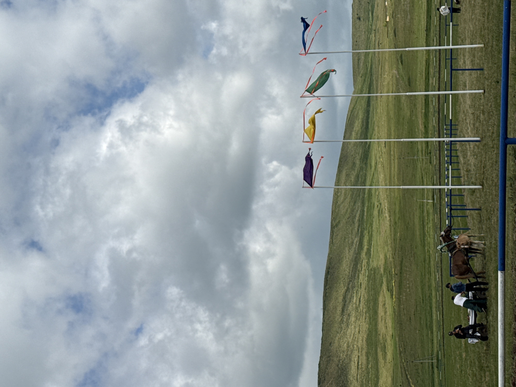 A group of people are gathered around a horse and its foal in a grassy field. There are four flags on poles in the background, and a cloudy sky overhead. The scene appears to be in an outdoor equestrian area, possibly a race track. The location is Nurkeevo, Russia.