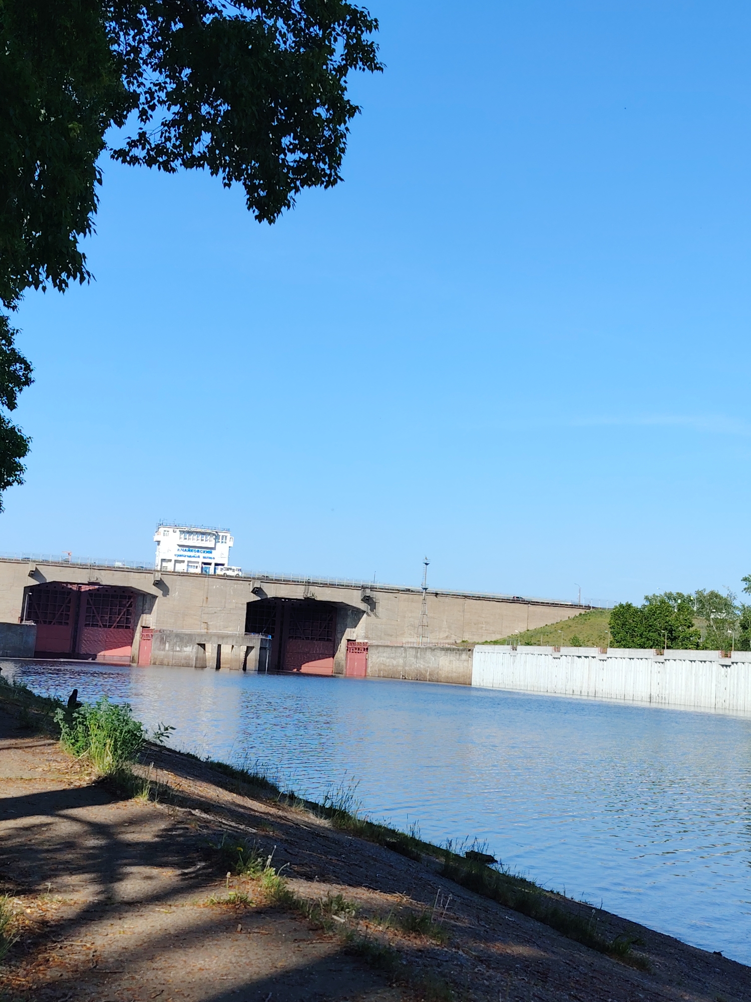 The image shows the Kama Dam in the city of Chaikovsky, Russia. The dam is a large concrete structure with red gates. A control building is situated on top of the dam. Water fills the foreground. Part of a tree is in the upper left corner of the image. The sky is bright blue. The foreground shows a concrete embankment with some vegetation.