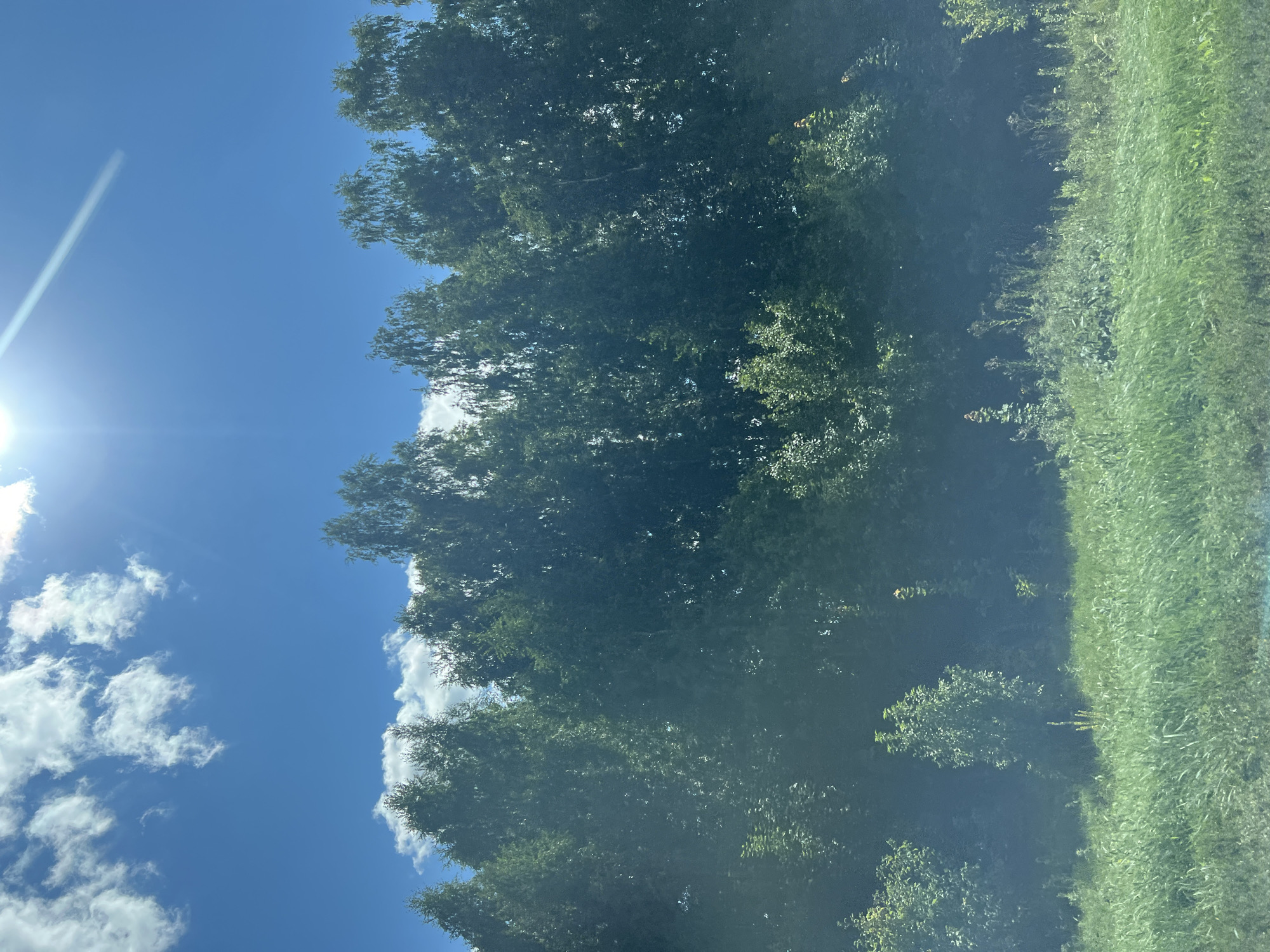 The image depicts a bright, sunny day in Staryi Urenbash, Russia, with a clear blue sky dotted with fluffy white clouds. A dense line of green trees forms a natural border across the middle of the frame, with the sun's rays beaming down from the upper right corner, creating a slight glare. In the foreground, lush green grass stretches across the bottom of the image, with some taller plants interspersed. The scene is an outdoor landscape, likely a rural area, characterized by natural elements. There are no people or specific actions visible in the image.