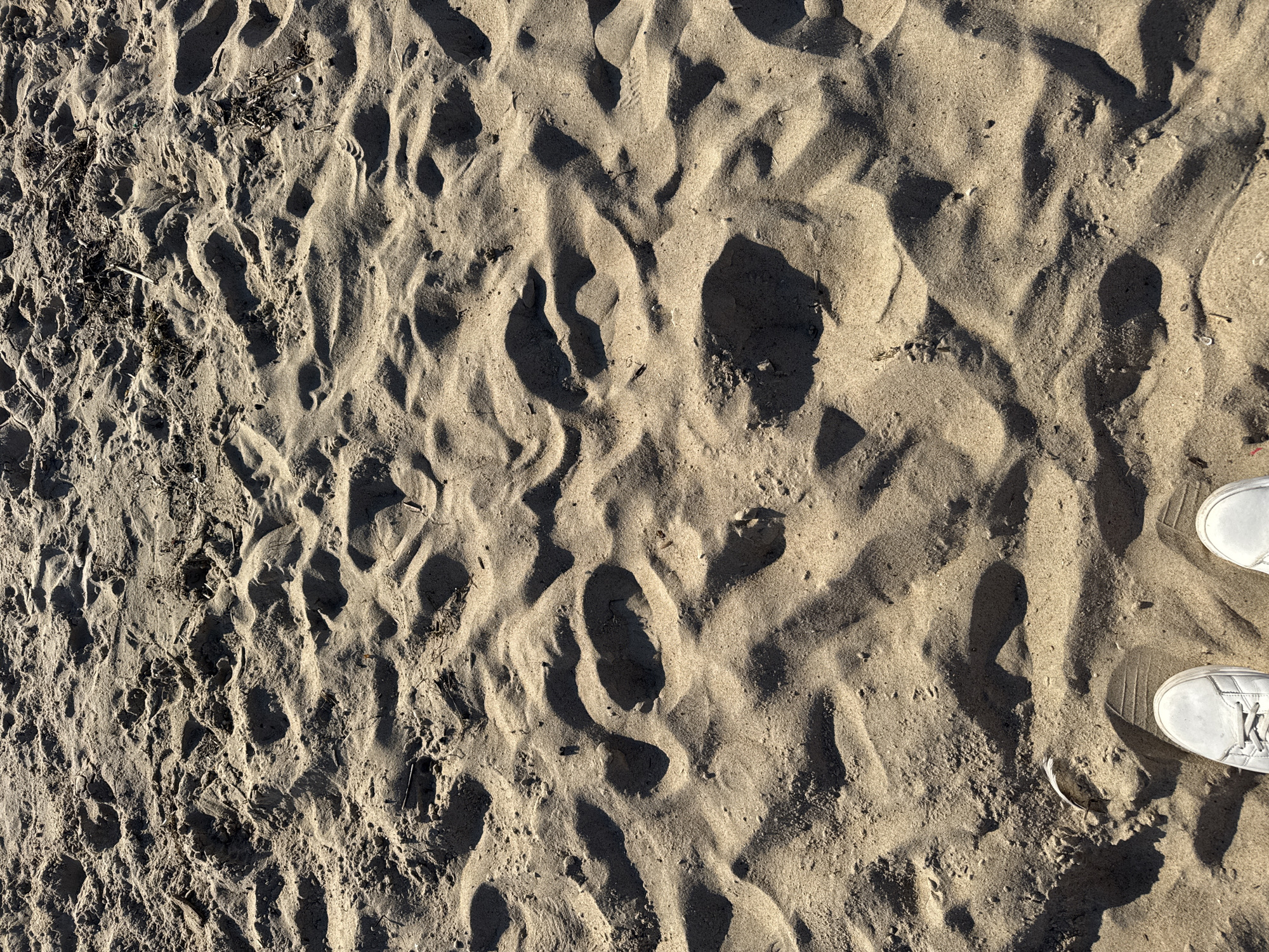 The image shows a close-up view of sandy ground with footprints. Two white sneakers are visible in the bottom right corner of the frame, indicating that a person is present and has been walking on the sand. The sand shows various textures, with some areas smooth and others rippled by wind or footprints. Shadows cast by an unseen object suggest it is daytime, likely with the sun at an angle. Some small debris, such as dry grass or twigs, is scattered across the sand. The overall impression is a natural outdoor setting, possibly a beach or a sandy trail. The presence of footprints and the shoes implies movement and exploration of the sandy area. There is no visible text in the image. The lighting and shadows suggest a bright, possibly sunny day.