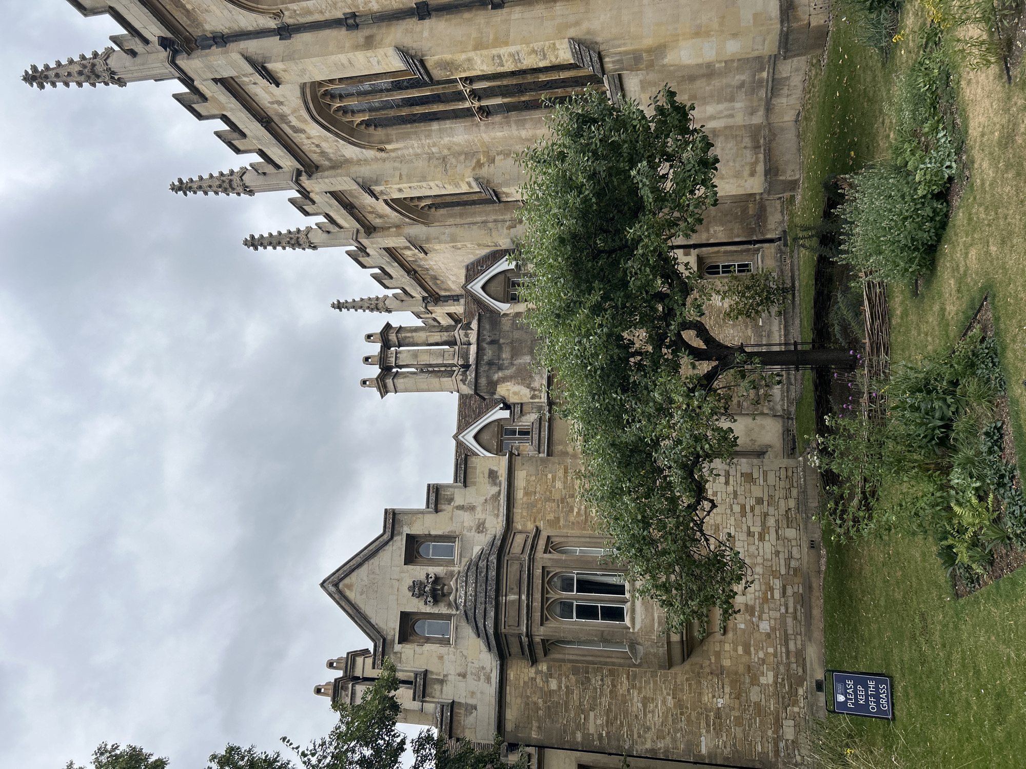 The image depicts a section of a historic building, likely a college or university building, constructed from light-colored stone with Gothic architectural elements. The building features pointed arch windows, decorative spires, and multiple chimneys. In the foreground, a lush green lawn is visible, with a sign that reads "PLEASE KEEP OFF THE GRASS". A medium-sized tree with dark branches and green foliage stands centrally on the lawn, surrounded by a low, woven wooden fence. Behind the tree, a flowerbed with various plants, including some with purple flowers, is present. The sky is overcast with gray clouds. The architectural style and the presence of manicured grounds suggest a location within the city of Cambridge, United Kingdom, a city known for its prestigious university and historic architecture. No people are visible in the image.
