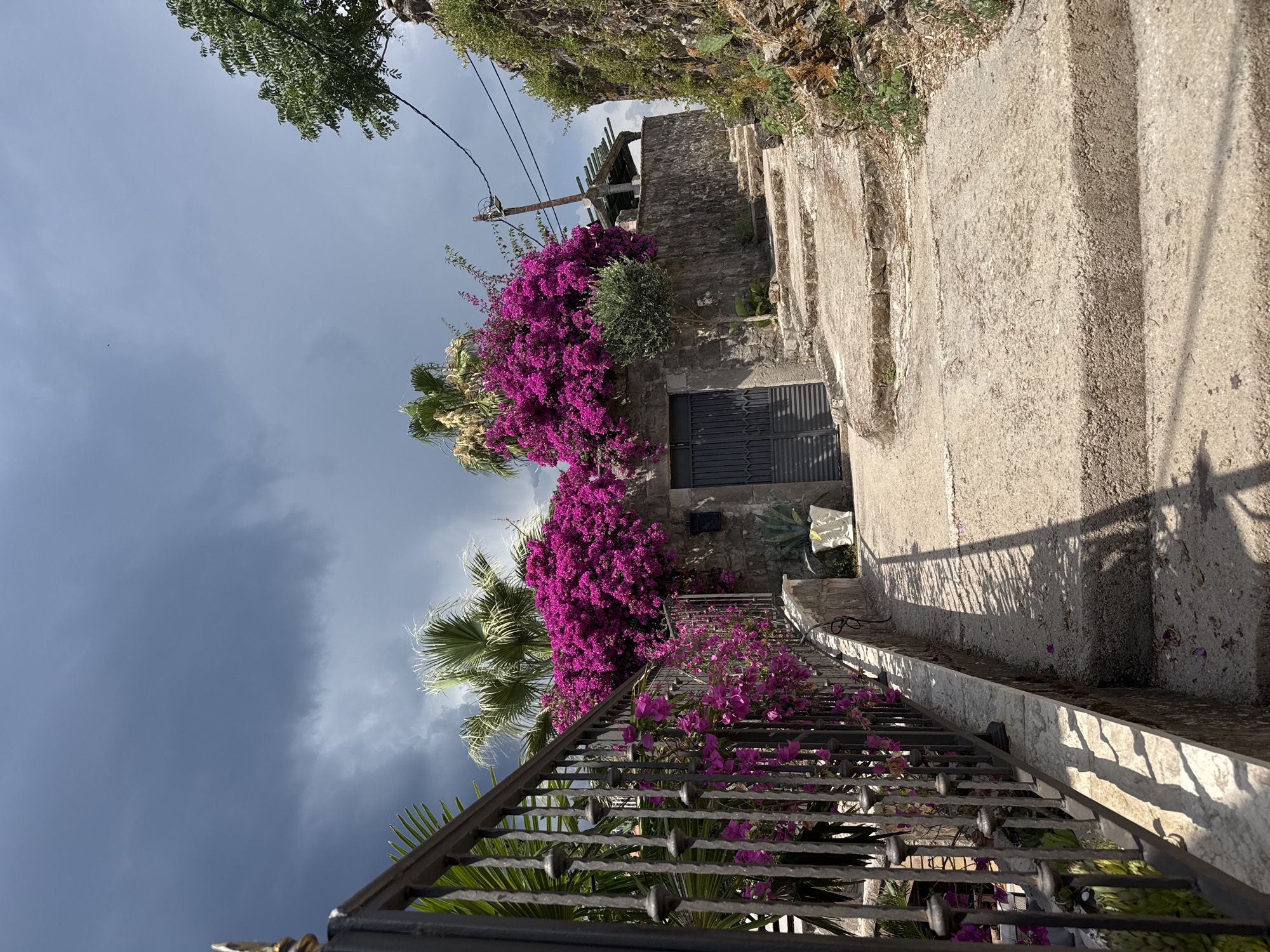 This is a vertical, slightly angled, outdoor shot featuring a stone pathway and staircase adorned with vibrant pink bougainvillea flowers. The pathway is made of rough, textured concrete, and ascends to a weathered stone building with a dark metal door. A decorative metal railing lines the staircase, also partially covered by the blooming flowers and palm fronds. Overhead, the sky is dramatic, with dark, heavy clouds contrasting with patches of brighter sky. Green foliage from trees and plants frames the upper edges of the image, hinting at a lush, natural environment. The scene appears to be bathed in the warm light of a sunny day, despite the stormy sky, suggesting a dynamic weather pattern. The overall impression is one of a charming, perhaps Mediterranean, setting, where nature has intertwined with architecture. There is no visible text in the image.