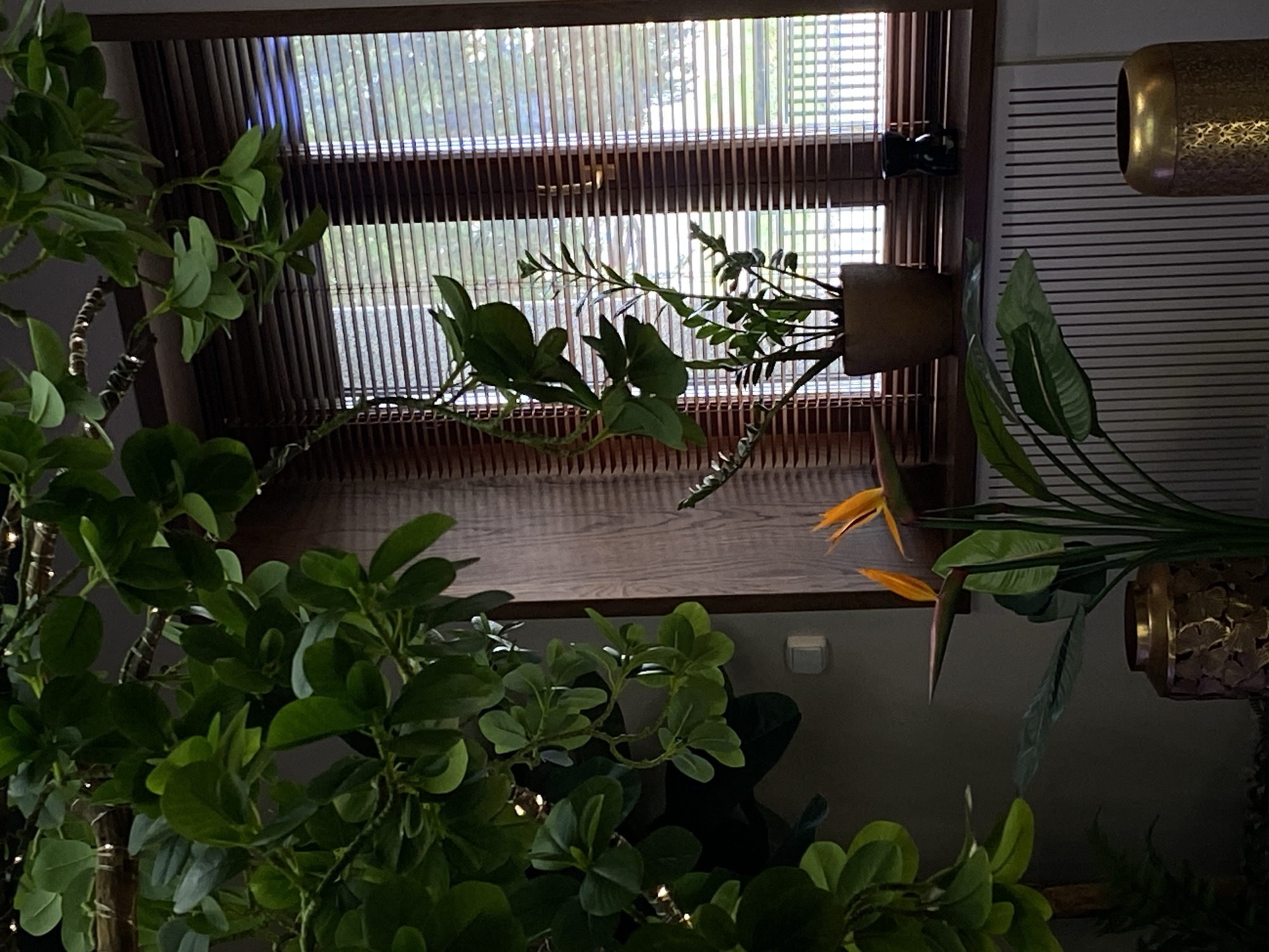 The image shows an interior view near a window with thin, vertical blinds. The window reveals a scene outside, possibly a park or garden due to the presence of trees and greenery. There's a wooden sill in front of the window, where a potted plant is placed. Another plant, perhaps larger, fills the foreground with lush green leaves, suggesting it is indoors. Part of a decorative fixture is visible on the right. There is no evidence to confirm the location is Votkinsk, Russia. The image consists primarily of plants and architectural elements related to an interior space.
