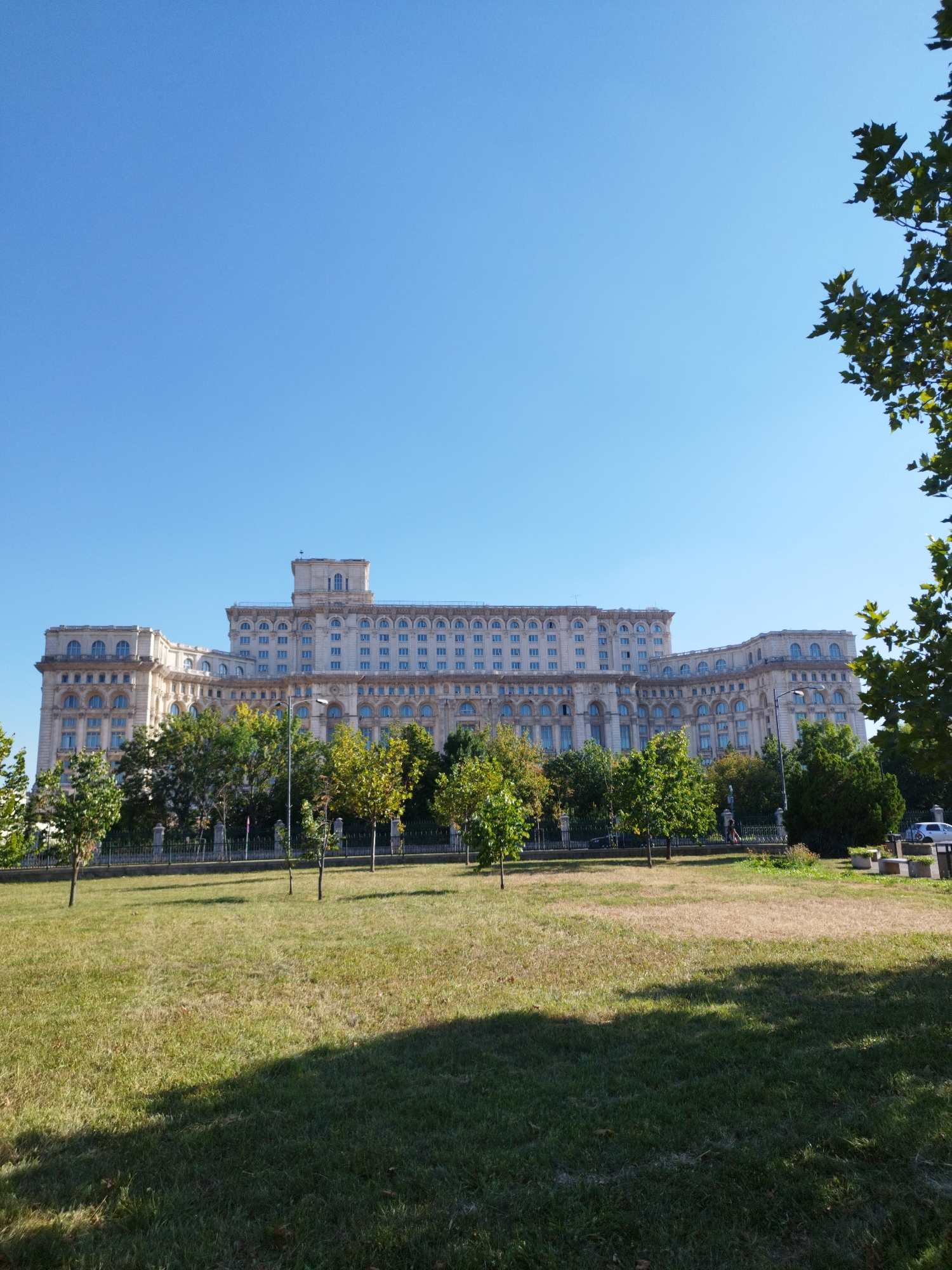 A grand, neoclassical palace, likely the Palace of the Parliament in Bucharest, Romania, dominates the background under a clear blue sky. The building is light-colored stone with numerous windows and architectural details. In front of the palace, a line of trees with green and some yellowing leaves stands behind a decorative fence. A grassy lawn slopes upwards from the foreground towards the trees and palace. Shadows from unseen trees are cast across the lawn. A few trees are scattered across the lawn, appearing young and slender. In the distance, on the right side of the image, a white car is parked.