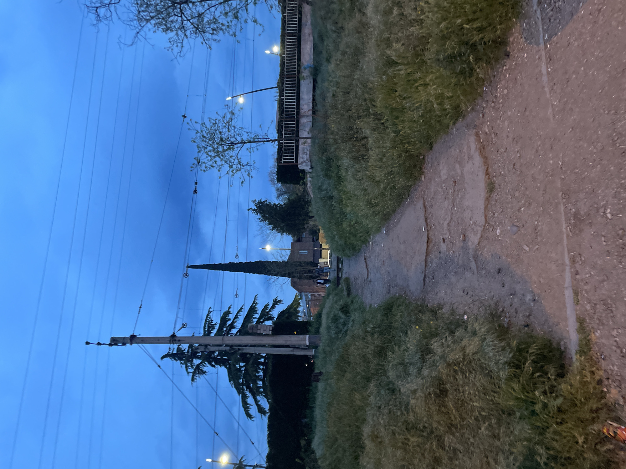 The image, rotated 90 degrees clockwise, depicts an outdoor scene at dusk or early night, likely in a semi-urban or suburban area of Tbilisi, Georgia. A dirt path or unpaved road dominates the lower right, winding into the distance. This path is bordered by dense, overgrown green grass and weeds.
Above, a deep blue sky is visible, traversed by numerous utility power lines stretching horizontally across the frame. Several tall utility poles, equipped with insulators, stand prominent against the sky. Various trees are scattered throughout the scene; some show bare branches suggesting deciduous species, while a very tall, slender evergreen tree, possibly a cypress, stands out in the midground.
In the far distance along the path, two figures, appearing to be an adult and a child, are faintly visible walking away. Behind them, residential buildings are discernible. On the right side of the path, a raised concrete structure topped with what looks like a metal railing or fence is illuminated by two streetlights. Other streetlights are also visible in the distance, casting a glow and indicating the evening time. The scene conveys a quiet transition from day to night in an area with a mix of natural growth and infrastructure. No visible text is present.