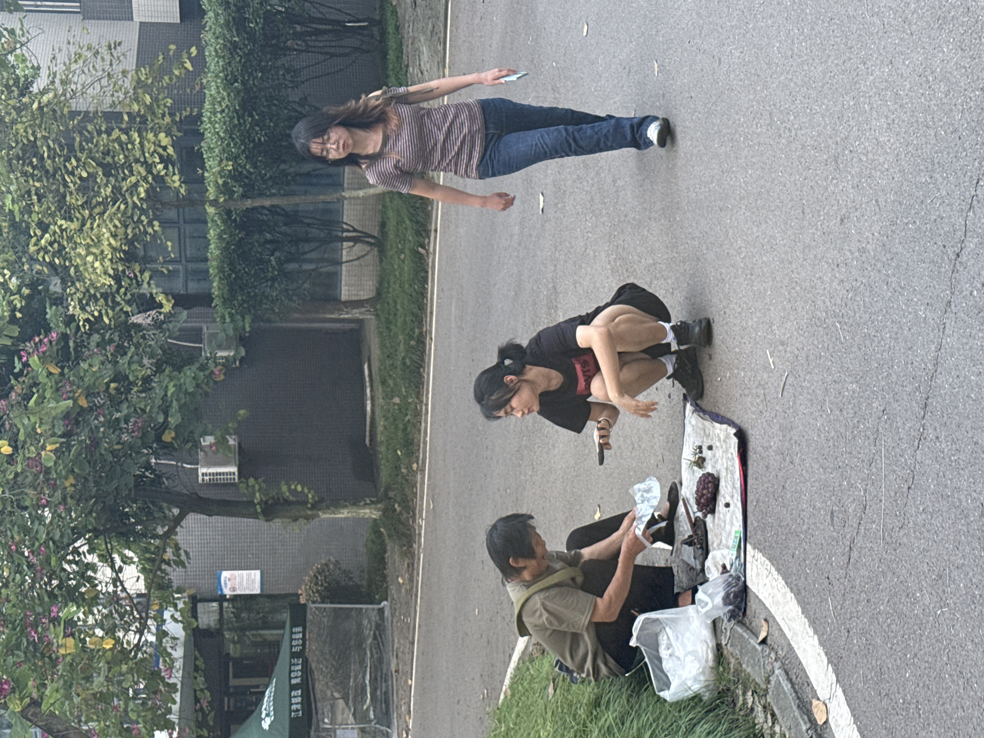 In Jiangjin, China, on a paved road bordered by grass, two individuals are engaged in an activity near a large tree and a building. The person on the left, who appears to be older, is seated, wearing a green shirt and dark pants, and is handling some white plastic material. Beside them is a white plastic bag. To the right, a younger person is crouching, wearing a black t-shirt and dark shorts with white socks, holding a mobile phone and appearing to interact with the seated individual. In front of them, on a mat spread on the ground, are a bunch of dark grapes, some leaves, and possibly other small items. A third person, a young woman wearing a striped t-shirt and blue jeans, is walking away from the other two, towards the right side of the frame, carrying a light-colored object in her right hand. The background includes a building with windows and a green hedge.