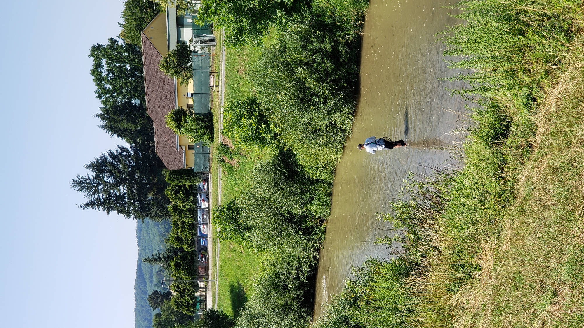 A man is fishing in a shallow, muddy river. He is standing in the water, facing away from the camera, holding a fishing rod and net. The riverbanks are lined with lush green vegetation, including trees and bushes. In the background, there is a grassy embankment with a road, a parking lot with cars, and a yellow building with a brown roof. Beyond that, a line of trees and hills are visible under a clear blue sky. The location appears to be a suburban or semi-rural area.