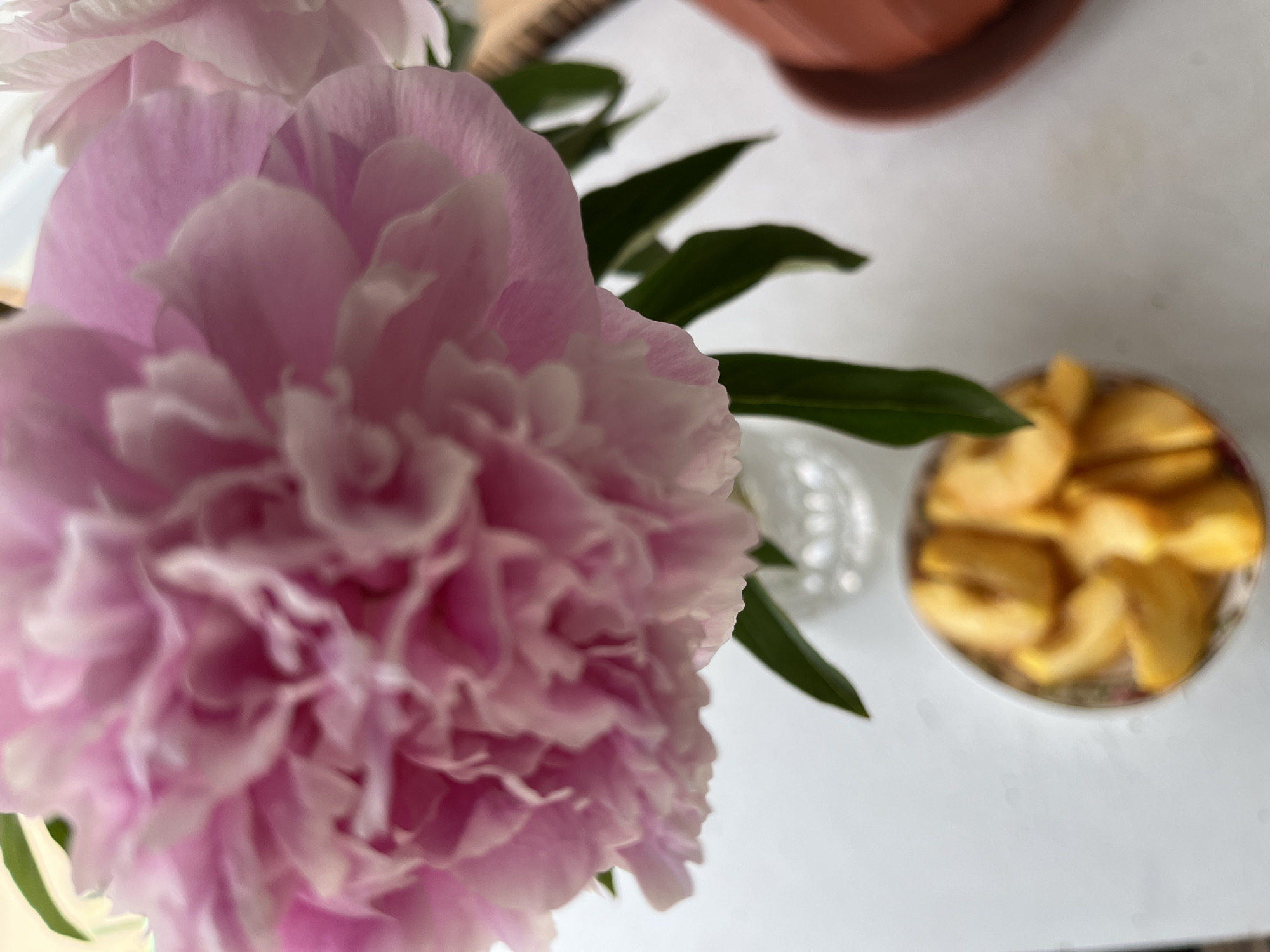 A close-up, out-of-focus shot shows a pink peony flower in a clear glass vase. To the left of the vase, a small, patterned bowl holds several slices of yellow fruit, possibly peaches or apricots. The items are arranged on a white surface, likely a table, in a room. The background is blurred, with hints of green leaves and a terra cotta pot. The image appears to be an indoor still life.