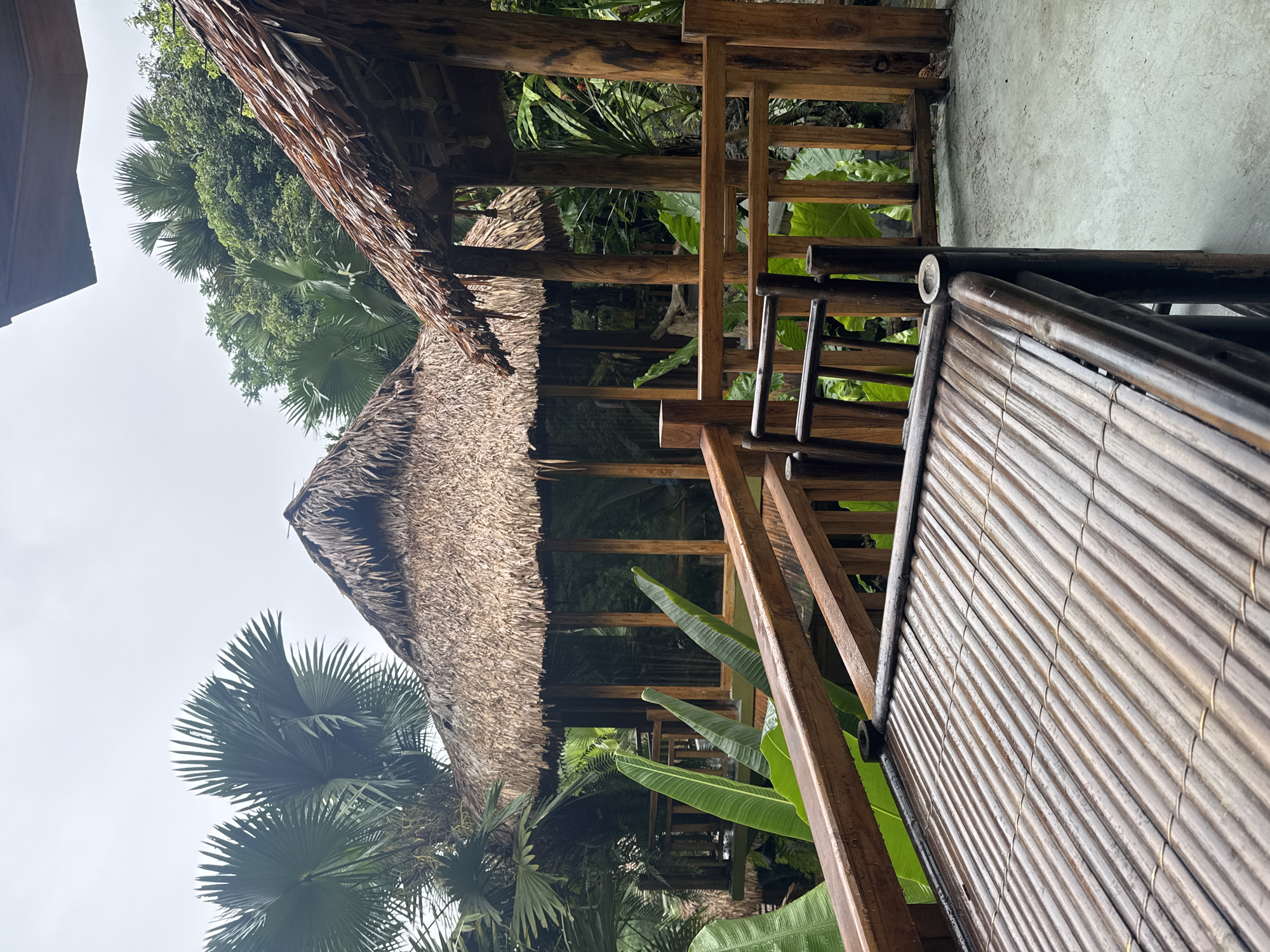 In Pù Luông Commune, Vietnam, a scene unfolds with tropical allure. Two thatched-roof huts, constructed with natural wood, are nestled amidst lush greenery, including prominent fan palms. A wooden railing encloses a porch or walkway, and in the foreground, a rustic bamboo table with benches sits on a light-colored concrete surface. The atmosphere suggests a tranquil, natural setting, possibly a resort or guesthouse, with the overcast sky indicating a humid, tropical climate. The scene is static, with no individuals present, focusing solely on the architecture and the surrounding vegetation.