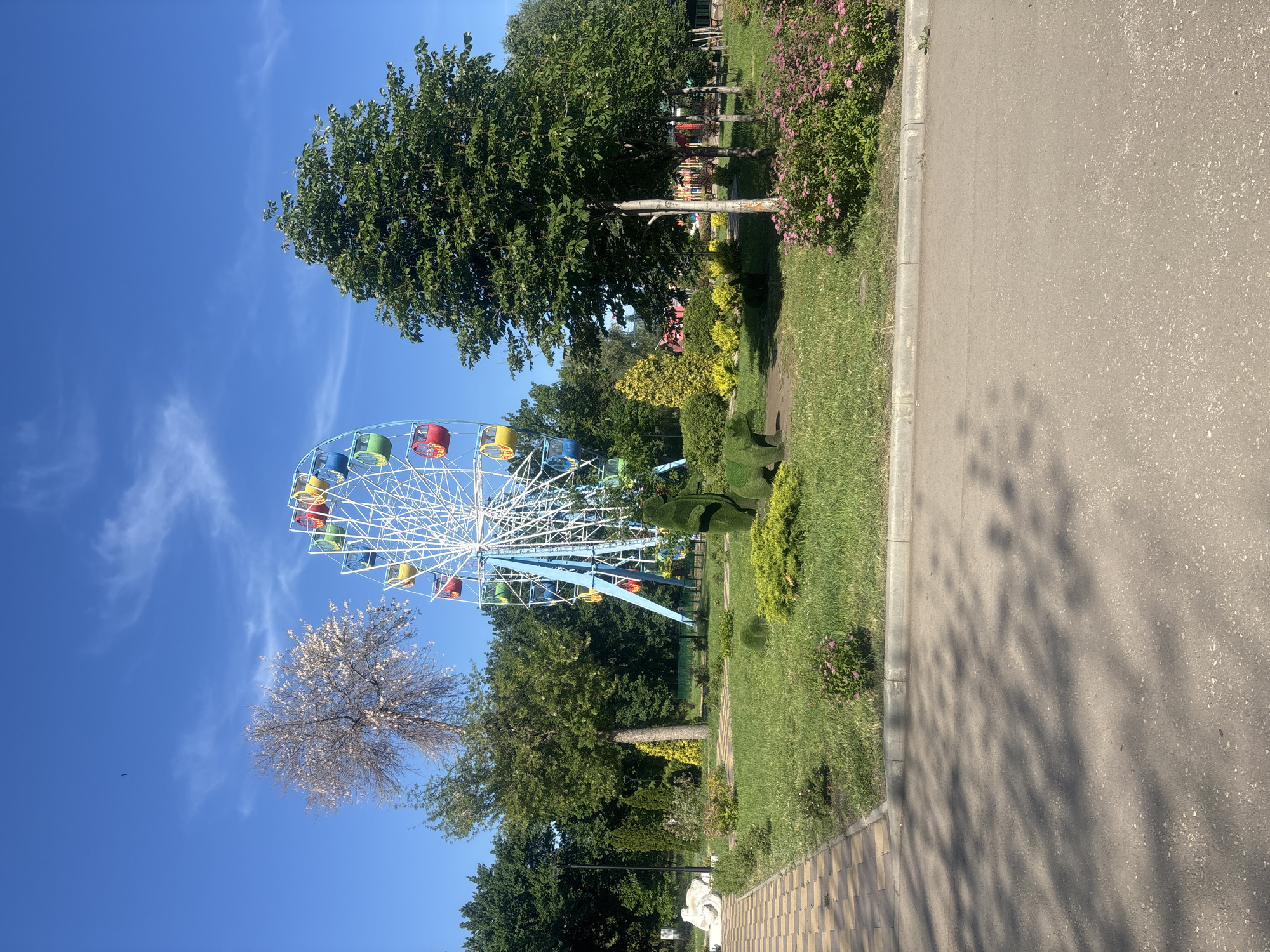 The image depicts a sunny day in Novokuybyshevsk, Russia, with a Ferris wheel as the central attraction. The Ferris wheel, a vibrant mix of red, yellow, green, and blue gondolas, stands tall against a clear blue sky dotted with wispy white clouds. In the foreground, a paved walkway with a checkered pattern leads the viewer into the scene. Lush green grass carpets the ground, interspersed with decorative bushes and small pink flowers. Two topiary figures, a bear and a smaller animal, are meticulously sculpted from greenery, adding a whimsical touch to the park. Mature trees with dense foliage surround the area, casting dappled shadows on the ground, suggesting a peaceful, recreational setting within the city.