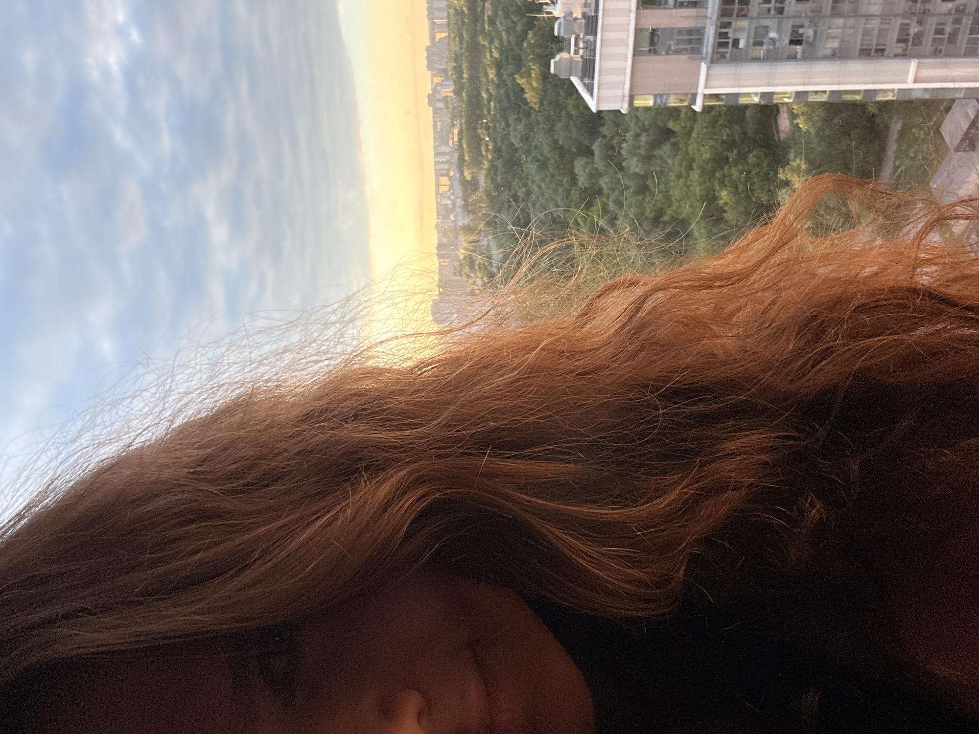 The image is a close-up, vertical shot of a person's face and hair, with a blurred background depicting a cityscape and sky. The person, whose face is partially visible in the lower left quadrant, has long, wavy, reddish-brown hair that dominates the foreground and mid-ground of the image. The hair is detailed with individual strands and highlights from what appears to be sunlight.
The background shows a view from a height, likely a building, looking out over a city. Tall buildings with visible windows are present, some with a modern architectural style. Below the buildings, dense green trees suggest a park or a significant amount of greenery within the urban environment. The sky is a pale blue with white, wispy clouds, and a golden hue on the horizon indicates either sunrise or sunset. The overall lighting suggests it is daytime, with the golden light casting a warm glow.
There is no visible text in the image. The composition focuses on the texture and color of the hair, with the urban landscape providing a contrasting backdrop. The angle of the shot and the prominent hair suggest a selfie or a personal perspective. The emotional tone is serene, possibly contemplative, due to the soft lighting and the peaceful city view.