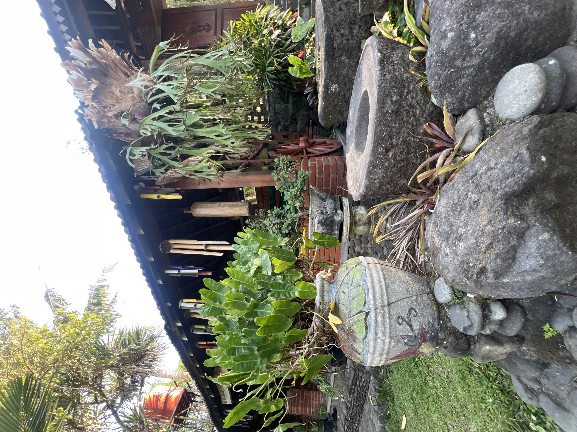 The image shows a rustic outdoor scene in Tlogoadi, Indonesia. A traditional wooden building with a dark tiled roof serves as the backdrop. Several colorful bamboo wind chimes are hung along the eaves of the building. In the foreground, a large, ornate ceramic pot overflowing with lush green philodendron plants is positioned on a bed of stones. To the right of the pot, two large, weathered stone bowls are placed on the ground, surrounded by more rocks and various plants, including some with red and green foliage. A vintage wooden wagon wheel leans against the building. In the upper left corner, an orange water tank is visible on a metal structure, and palm trees are seen against a bright sky. The overall ambiance is one of natural beauty and traditional decor.