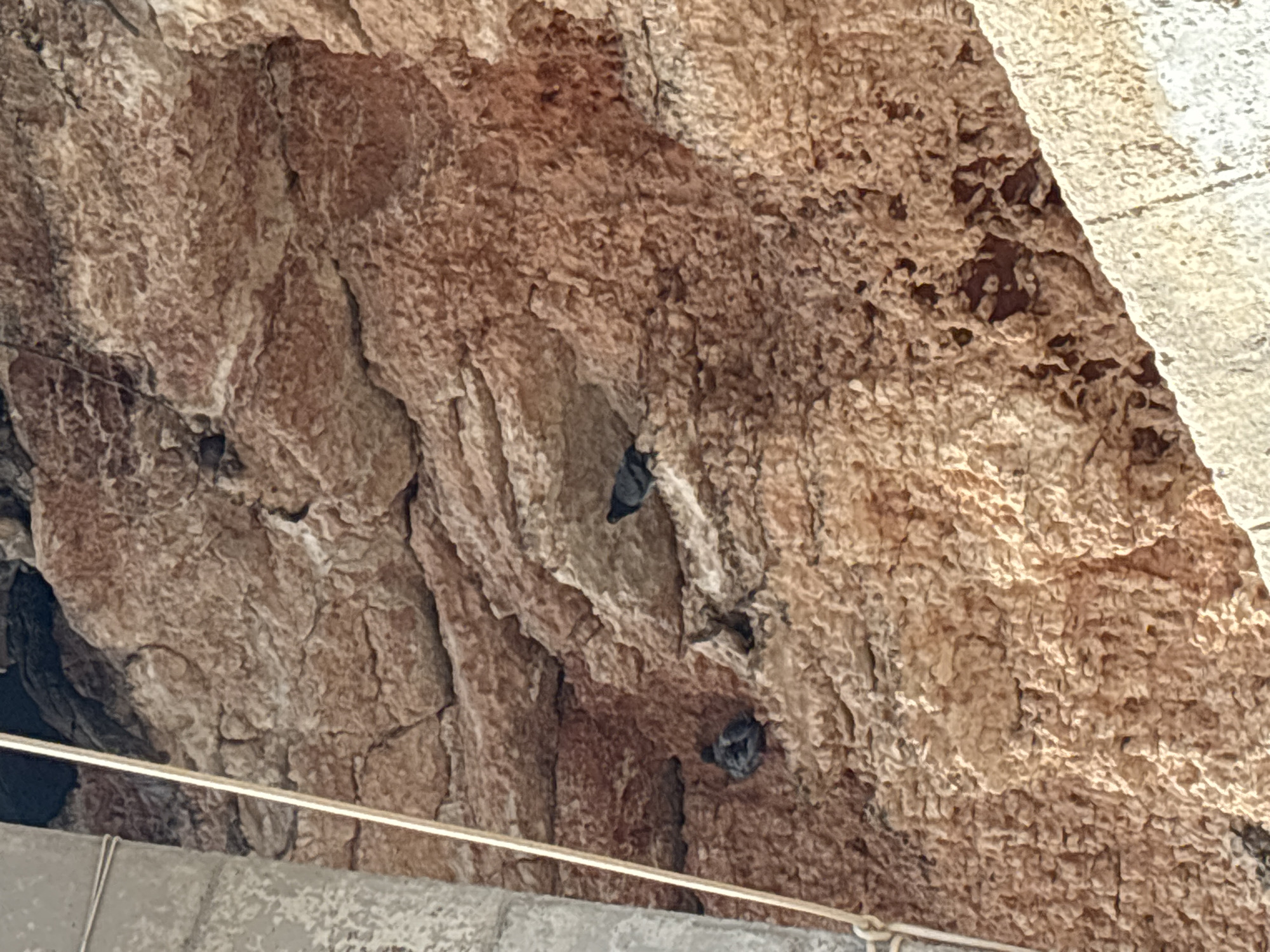 The image shows two pigeons perched on a rough, reddish-brown rock face in Urbanización Cabo Roig, Spain. The rock formation appears weathered and uneven, with visible crevices and textured surfaces. A light-colored vertical structure, possibly a pillar or building facade, is partially visible on the left side of the image, with a thin rope or wire running alongside it. The pigeons are small, dark-colored birds, one positioned to the left and slightly lower than the other, which is located to the right and further up the rock face. The lighting suggests an outdoor environment, with sunlight casting shadows on the rock.