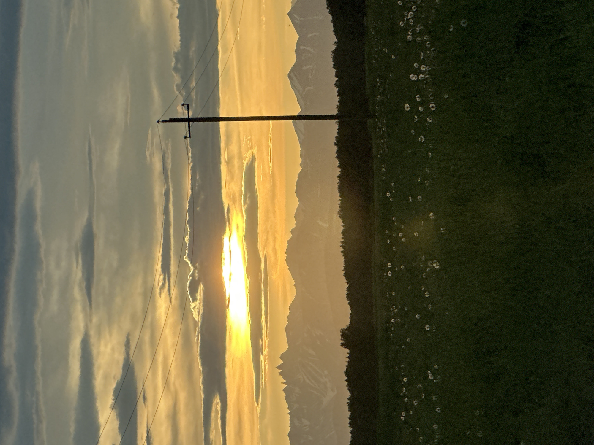 This is a vertical, full-frame shot of a natural landscape at sunset. The sky is filled with dramatic, layered clouds in shades of grey, white, and yellow, with the sun peeking through in the upper left quadrant, casting a golden glow. A single, dark utility pole stands in the mid-right of the frame, with two thin wires stretching horizontally across the upper half of the image. In the middle ground, a silhouetted dark green tree line forms a stark contrast against the illuminated sky and distant, hazy mountains. These mountains, also appearing in silhouette, exhibit jagged peaks. The foreground is a field of dark green grass dotted with numerous white dandelion seed heads, some of which are blurred with motion. There are no people or animals visible in the scene. The overall impression is one of a serene, rural sunset. This scene is not in the city of Кеткино, Russia.