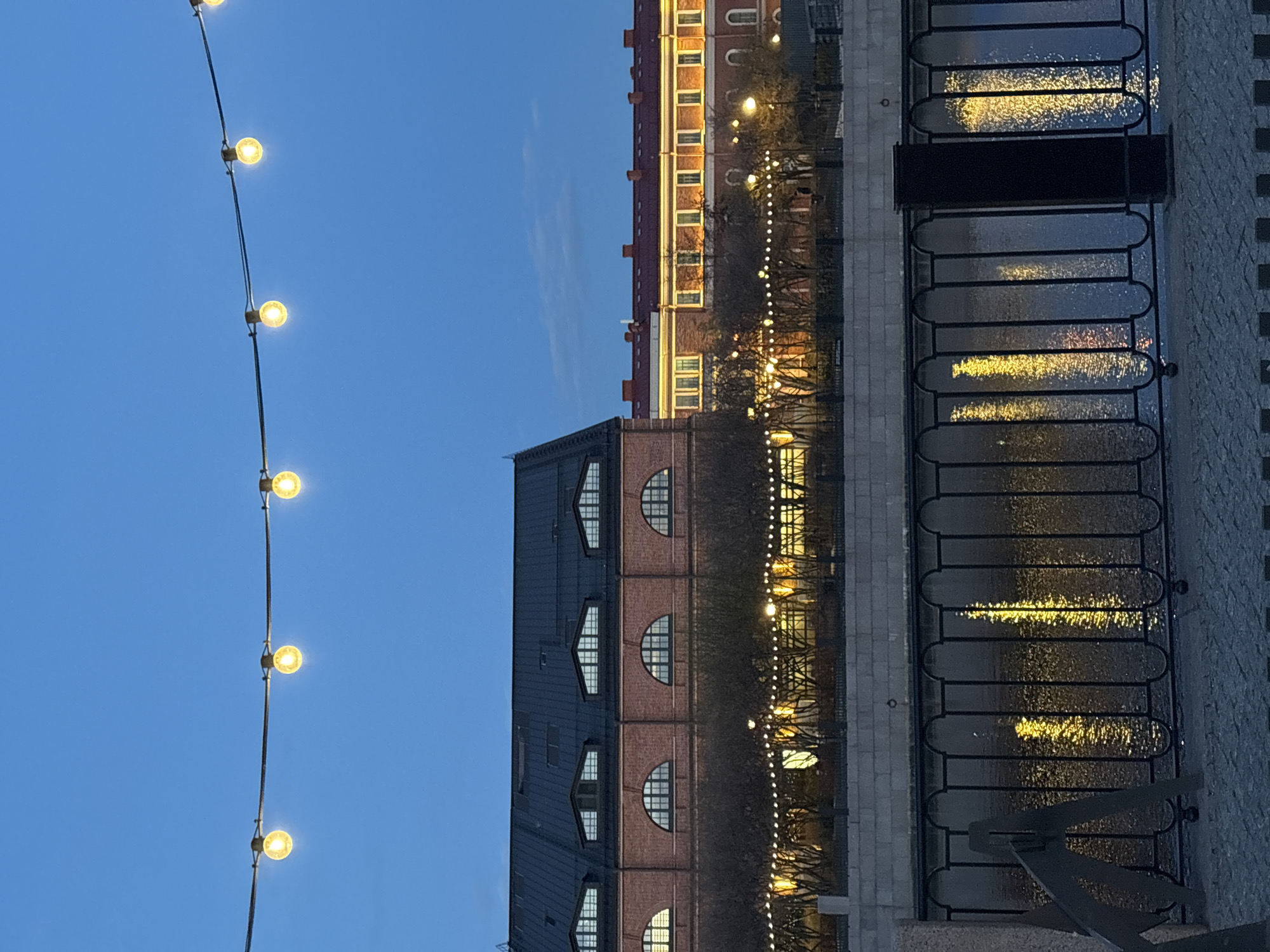 The image depicts an urban scene, likely taken during dusk or early evening, in Saint Petersburg, Russia. A strand of round, incandescent light bulbs hangs diagonally across the left side of the frame against a deep blue sky. Adjacent to this, a brick building with a dark-colored roof and arched windows is visible.
To the right of the brick building, there is a row of trees interspersed with strings of lights. Beyond the trees, another building with a facade of red brick and numerous windows is partially visible.
In the foreground, a portion of a wrought iron railing is shown, with reflections of the lights visible in the water behind it. The area adjacent to the railing appears to be a pedestrian walkway paved with light-colored stones. The reflections in the water suggest a canal or river setting, characteristic of Saint Petersburg. There are no people visible in the image.
