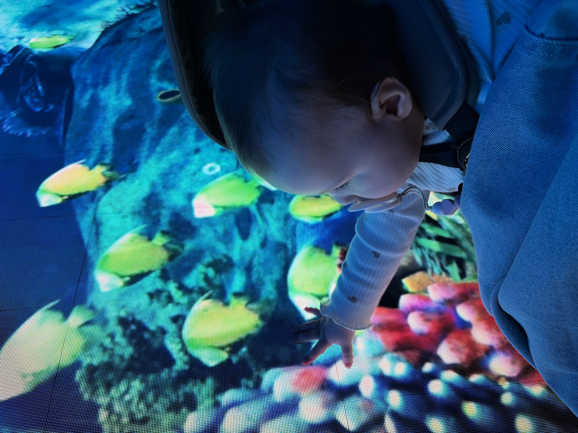 A close-up captures a baby in a light blue jacket reaching towards a floor-mounted, high-resolution LED display. The screen depicts a vibrant underwater scene with colorful fish, coral, and plants in hues of blue, green, yellow, and red. The baby's skin tone is fair. The setting appears to be an indoor, public display, location in city unknown, unknown.