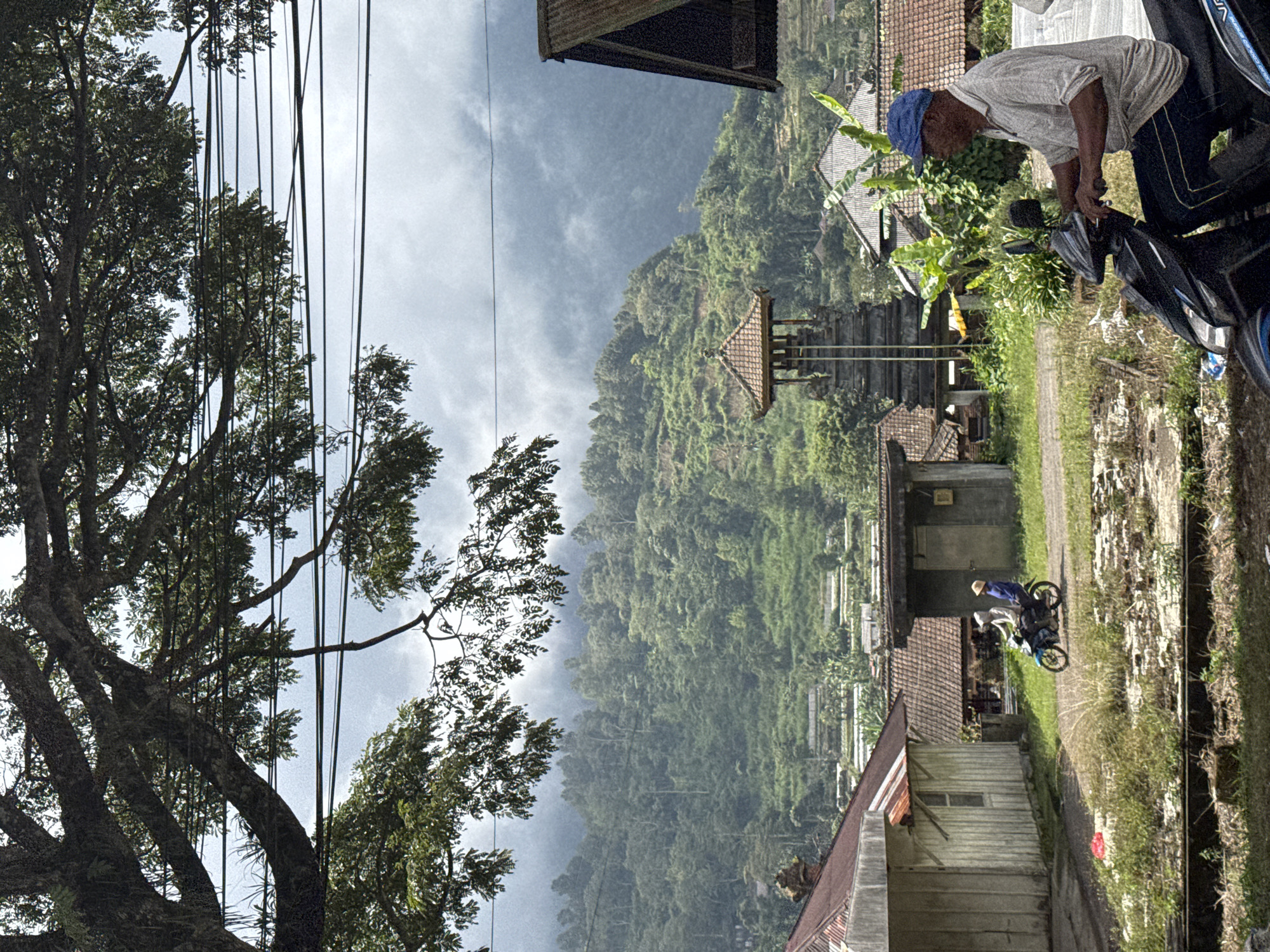 The image depicts a scene in an unidentified rural area, possibly in a mountainous or hilly region. The foreground features a large tree on the left, partially obscuring a view of a forested hillside in the background. The sky is overcast with visible power lines stretching across the upper portion of the frame.
To the right, there is a roadside scene including buildings with tiled roofs and overgrown vegetation. An older man wearing a blue cap and light shirt is interacting with a motorcycle. Further down the road, another individual is seen riding a motorcycle between buildings. The setting is likely residential, with a mix of natural landscape and human-built structures.