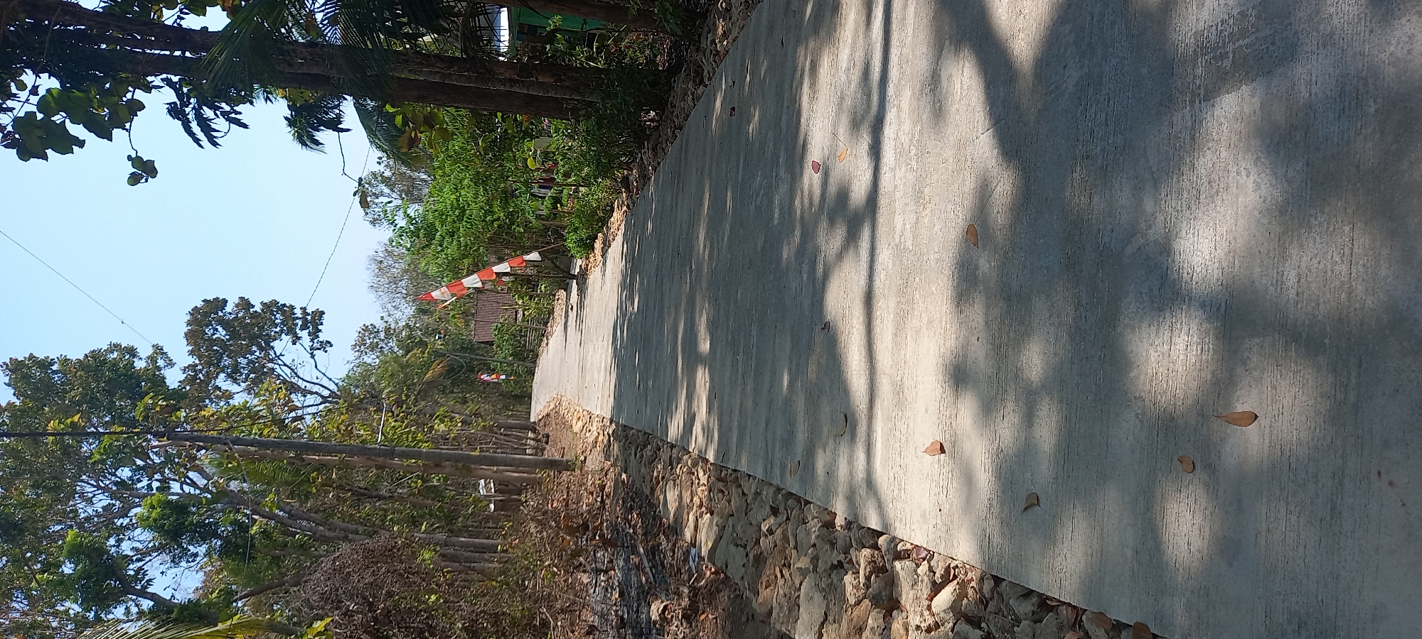 The image depicts a paved road winding through a rural area with trees on either side. The road is grey and textured, with scattered brown leaves. The trees are tall and leafy, with some showing dry branches. Along the side of the road, there are piles of light-colored stones. Red and white flags, likely Indonesian flags, are visible in the distance, suggesting a celebration or national holiday. The sky is clear and blue. A power line runs across the top of the image. The overall impression is of a quiet, somewhat arid, rural environment. The location is identified as Sidorejo, Indonesia.