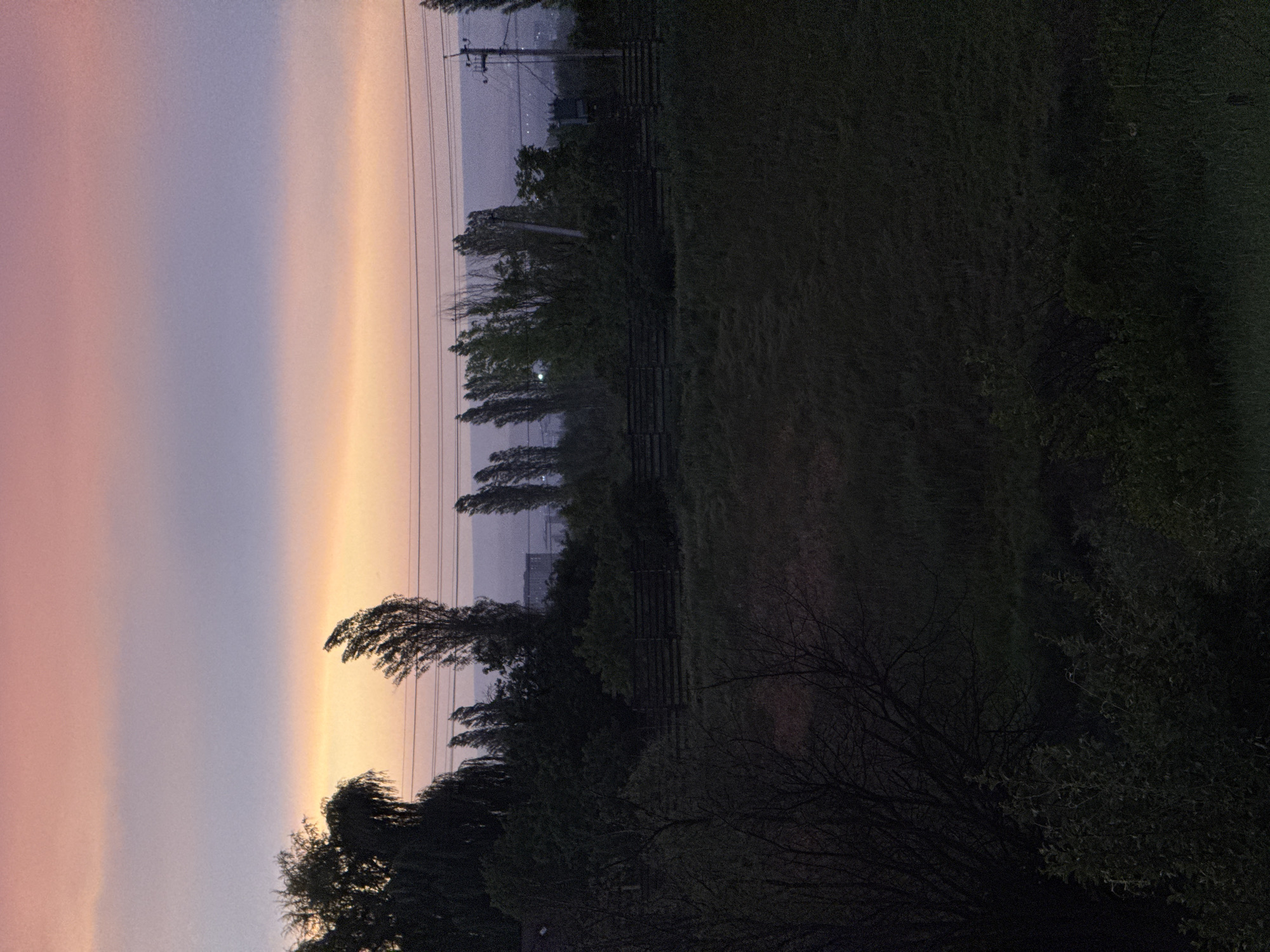 The image shows an outdoor scene at dusk or dawn. The sky is split into colors, with a pink-purple gradient on the left and a gold-yellow hue on the right. Power lines are visible stretching horizontally across the scene. The power lines are connected to wooden utility poles. In front of the sky, a line of trees and bushes runs across the middle of the image. A wooden fence can be seen amidst the trees and foliage. The lower right portion of the image is dark, showing grass or vegetation. The location appears to be a rural or suburban area on the outskirts of a city. There are no people in the image.