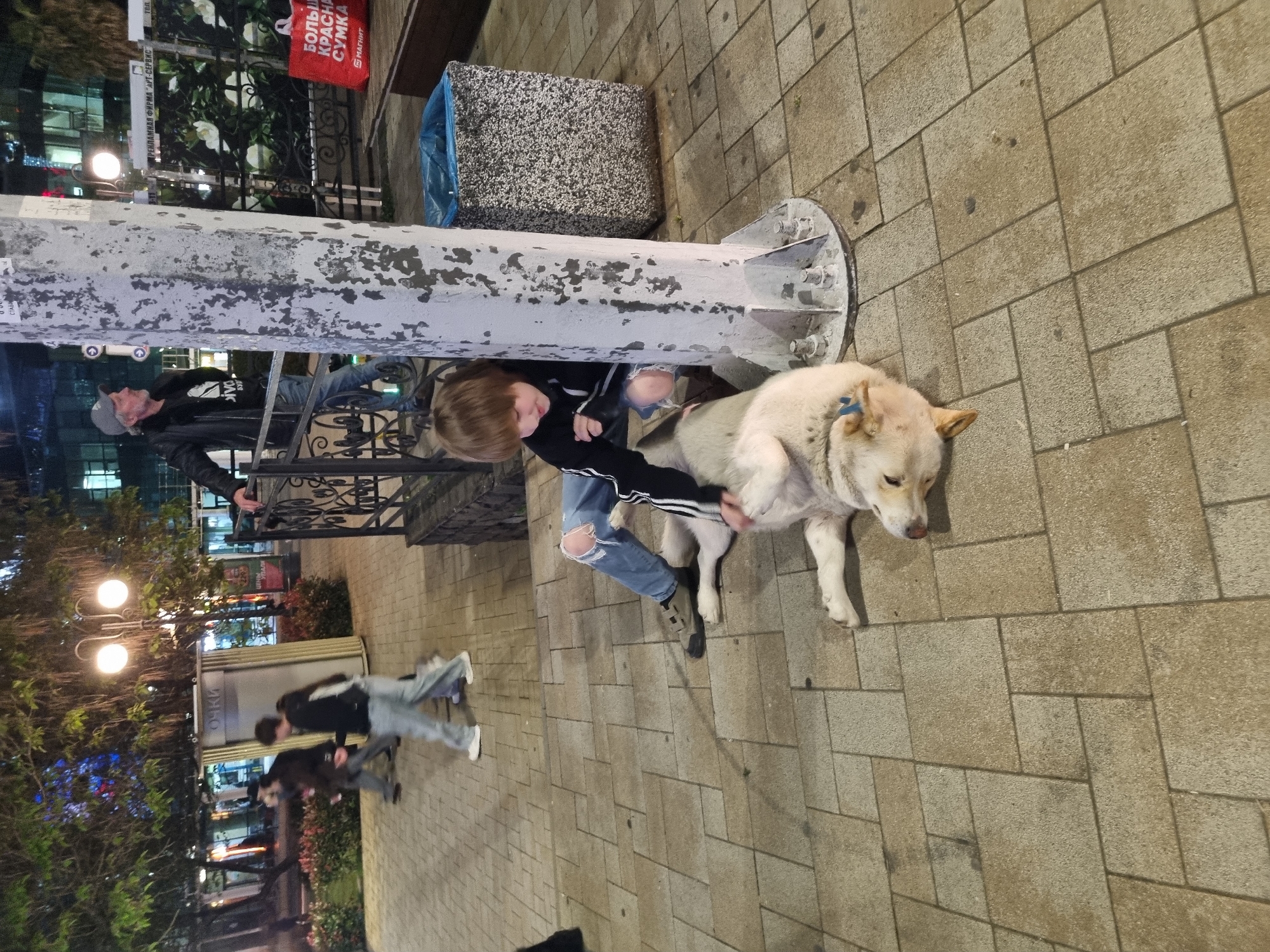 A high-angle shot depicts a scene on a paved street in Sochi, Russia, at dusk. A young person kneels beside a large, light-colored dog with a blue collar, petting it. The person wears ripped blue jeans, a black-and-white striped jacket, and dark shoes. The dog is mostly white with tan accents on its face and ears.
Behind the person and dog is a weathered metal column, and behind the column, a gray trash bin with a blue liner. Further in the background, a man in a dark jacket and baseball cap leans against an ornate metal railing. Beyond the railing, there are buildings and trees illuminated by streetlights. People are walking on the street in the background. A sign with Russian text and the words "Большой Красная Сумка" (Big Red Bag) is visible near the top of the image.