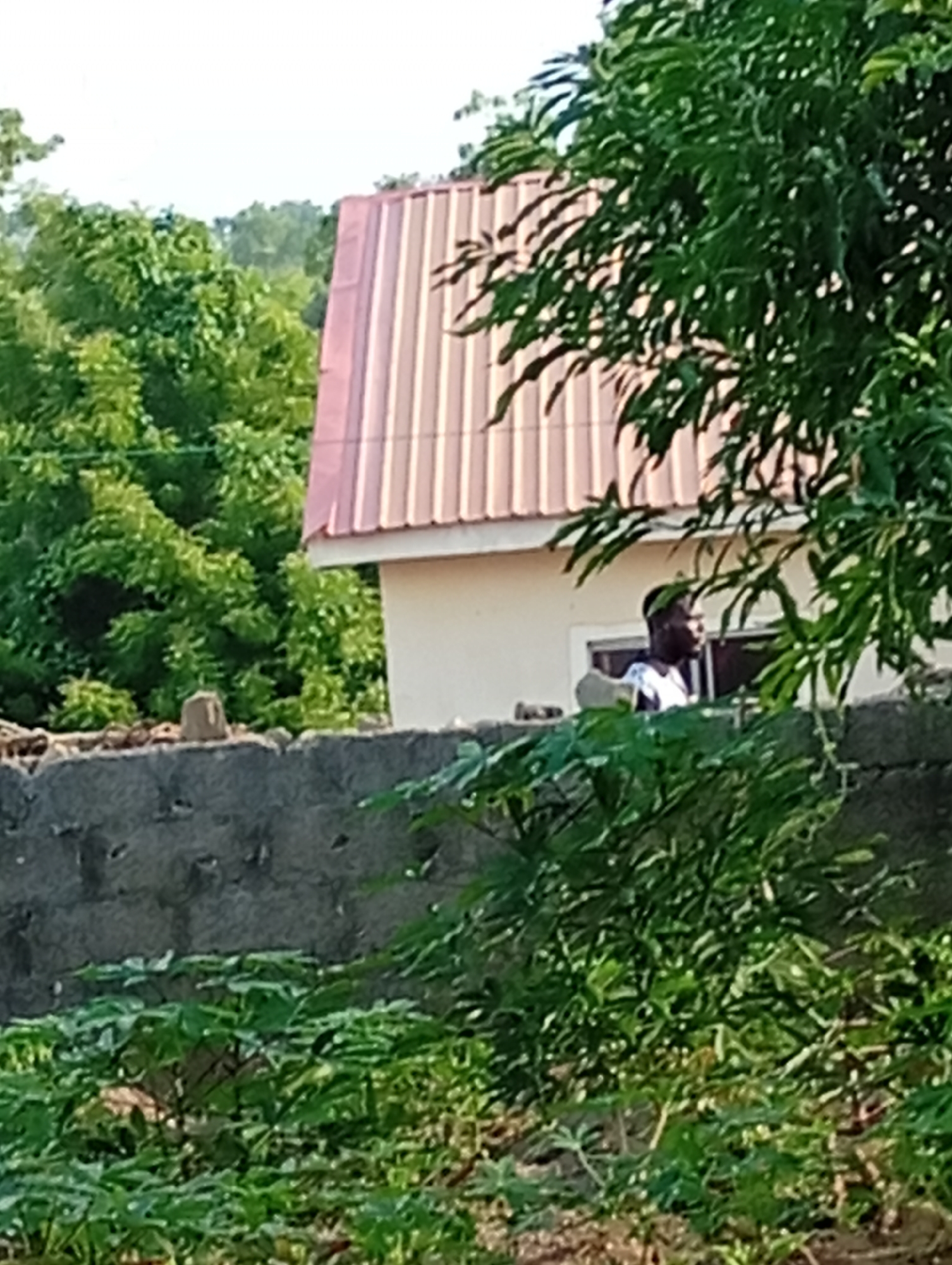 The image shows a partially obscured view of a person standing near a building behind a gray concrete wall. The building has a light-colored exterior and a striped, reddish-brown roof. Lush green foliage and trees surround the building and wall. The location is the city of Unknown, Unknown.