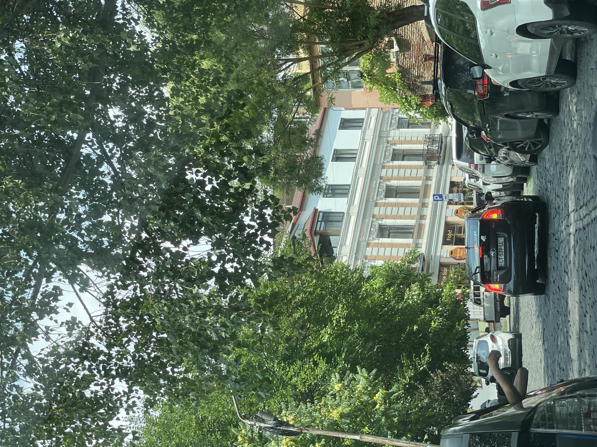 The image depicts a street scene in Tbilisi, Georgia, characterized by cobblestone paving and traditional architecture. A line of cars is stopped on the street, suggesting a traffic jam or parking situation. The foreground is dominated by the rear of a dark-colored car, with a hand visible reaching out from the driver's side window. In the middle ground, several other vehicles are visible, including a white hatchback, a pickup truck, and various SUVs. The background features a multi-story building with ornate detailing, typical of Tbilisi's historic districts. Lush green trees with dense foliage partially obscure the buildings and the sky, creating a dappled light effect. A street lamp with electrical wiring is visible on the left side of the frame. The overall impression is that of a sunny day in an old European city, with the natural elements of trees and sunlight interacting with the urban environment.