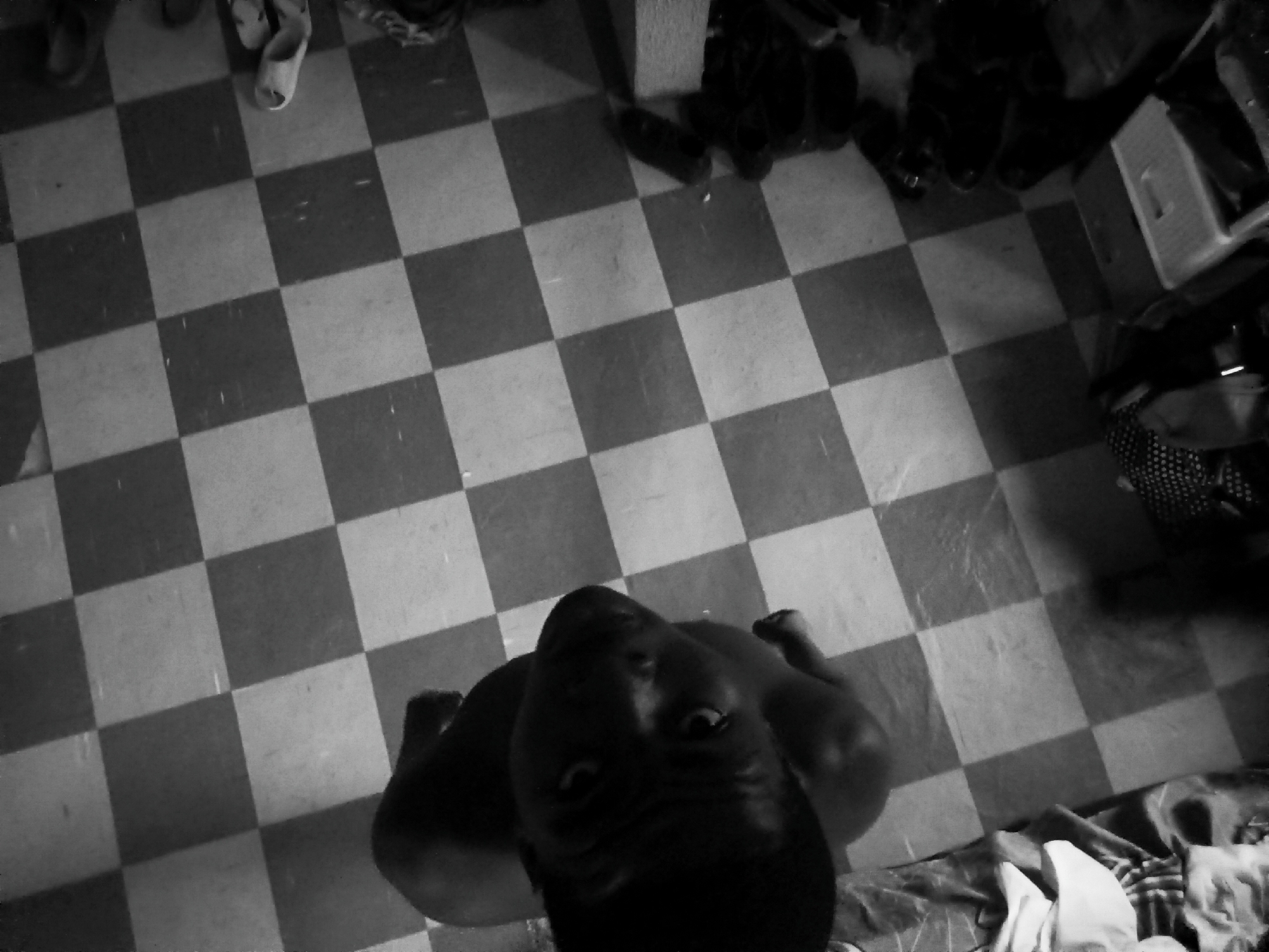 The image shows a person standing on a checkered floor. The person is looking up at the camera. In the background, there are various items on the floor. The location is the city of Nkpor, Nigeria.