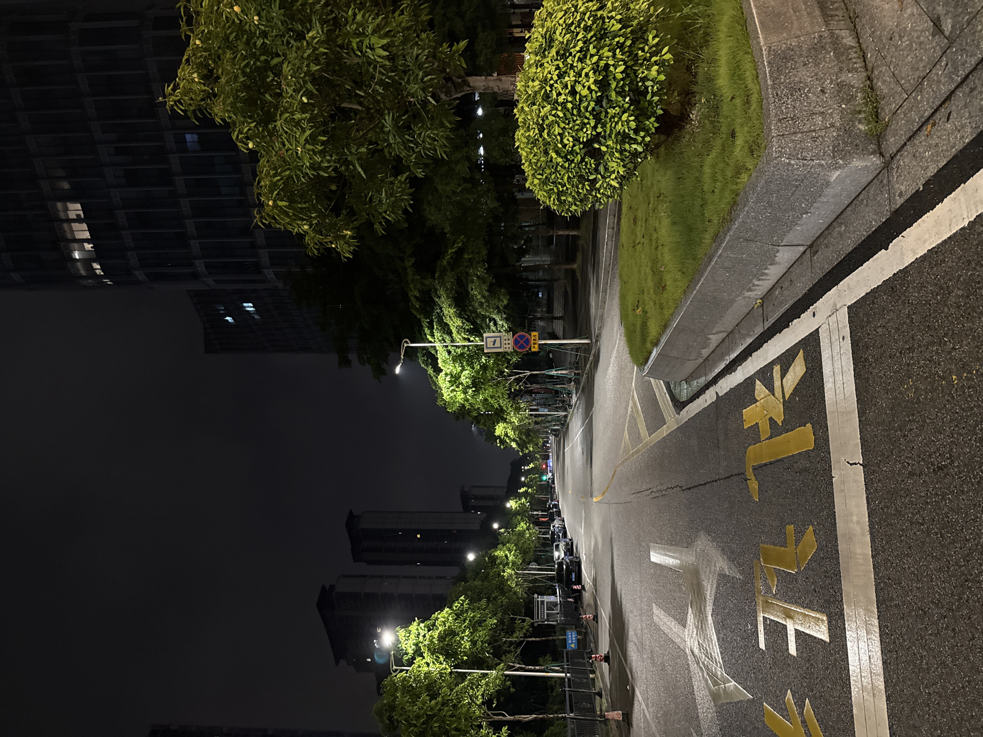 The image depicts a street scene at night in Haizhu District, China. A paved road with yellow lane markings and what appear to be Chinese characters painted on it runs towards the background. On the left side of the road, there is a sidewalk with a metal fence, streetlights, trees with green foliage, and several parked cars. Orange traffic cones are visible on the left side. On the right side of the road, there is a concrete curb with a patch of green grass and a meticulously trimmed bush. In the background, modern buildings with illuminated windows rise against the dark night sky. A street sign with Chinese characters and a red and blue circular sign with a diagonal bar is also present near the left sidewalk. The overall impression is that of a well-maintained urban street at night.