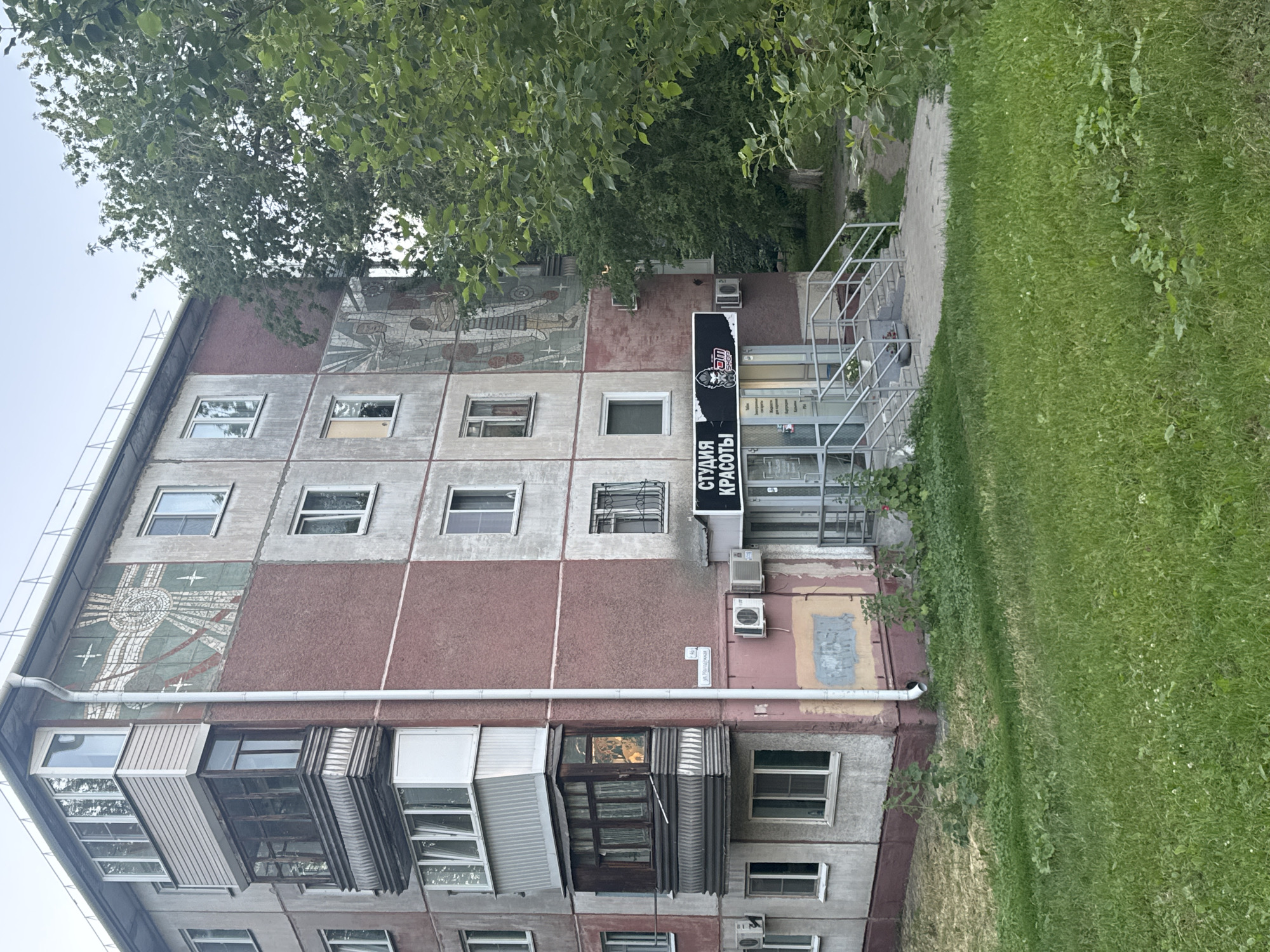 The image shows a grey, five-story apartment building in Barnaul, Russia, with a mosaic art piece on the upper floors. A beauty salon, "СТУДИЯ КРАСОТЫ" (Studio of Beauty), is located on the ground floor, accessible by stairs. A large green tree partially obscures the right side of the building. The weather appears overcast, and the foreground is a grassy lawn.