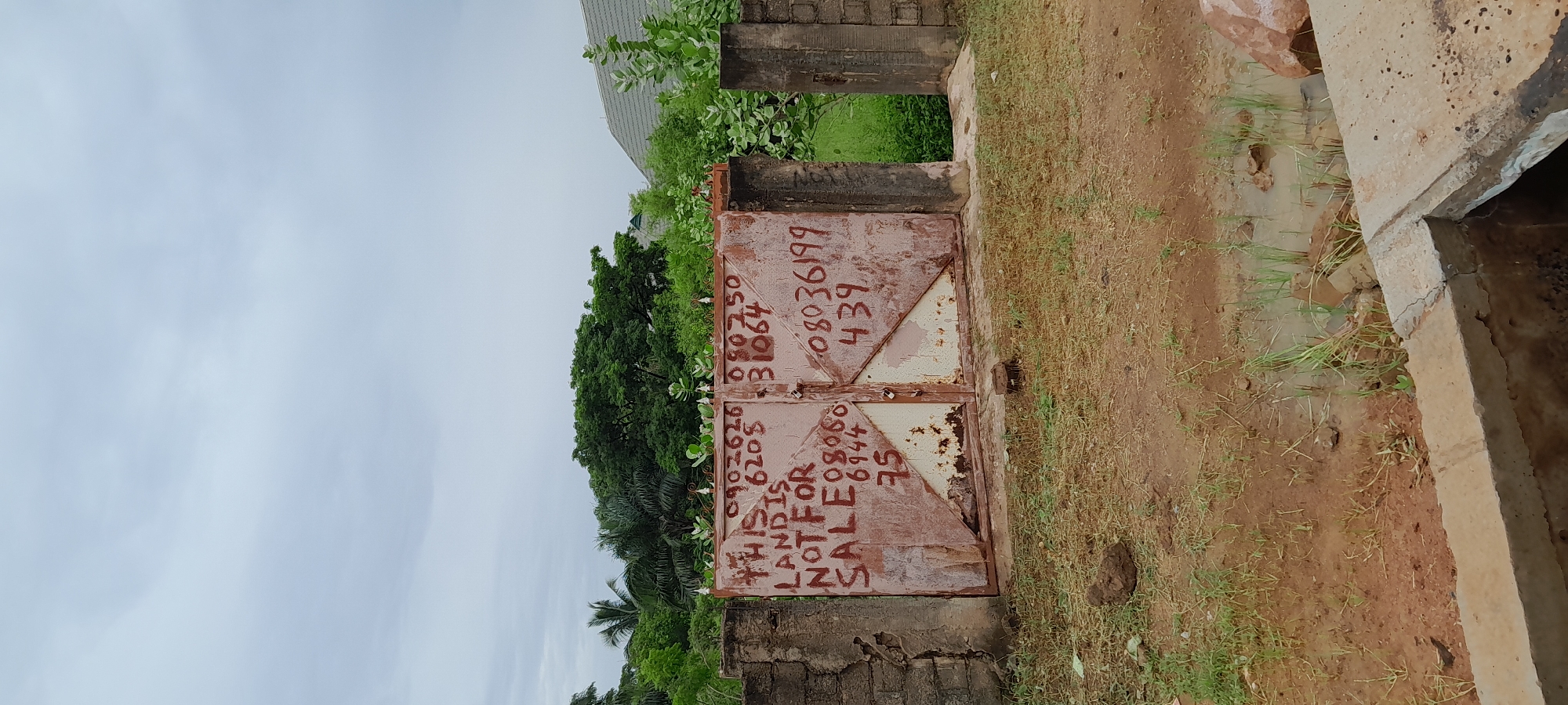 The image shows a weathered, red metal gate in Jalingo, Nigeria. The gate is covered in red spray-painted text. On the left side of the gate, the words "THIS LAND IS NOT FOR SALE" are clearly visible, along with phone numbers "09032626 6205" and "08060 6944 75". The right side of the gate displays the phone numbers "080350 31064" and "08036199 439". The gate is flanked by rough, brick pillars, one of which is crumbling. Beyond the gate, lush green trees and vegetation are visible, suggesting a tropical or sub-tropical environment. The sky is overcast with light grey clouds. The ground in front of the gate is a mixture of dry earth and sparse grass, with a small puddle of muddy water in the foreground. The overall impression is one of a property that is either abandoned or being protected.
