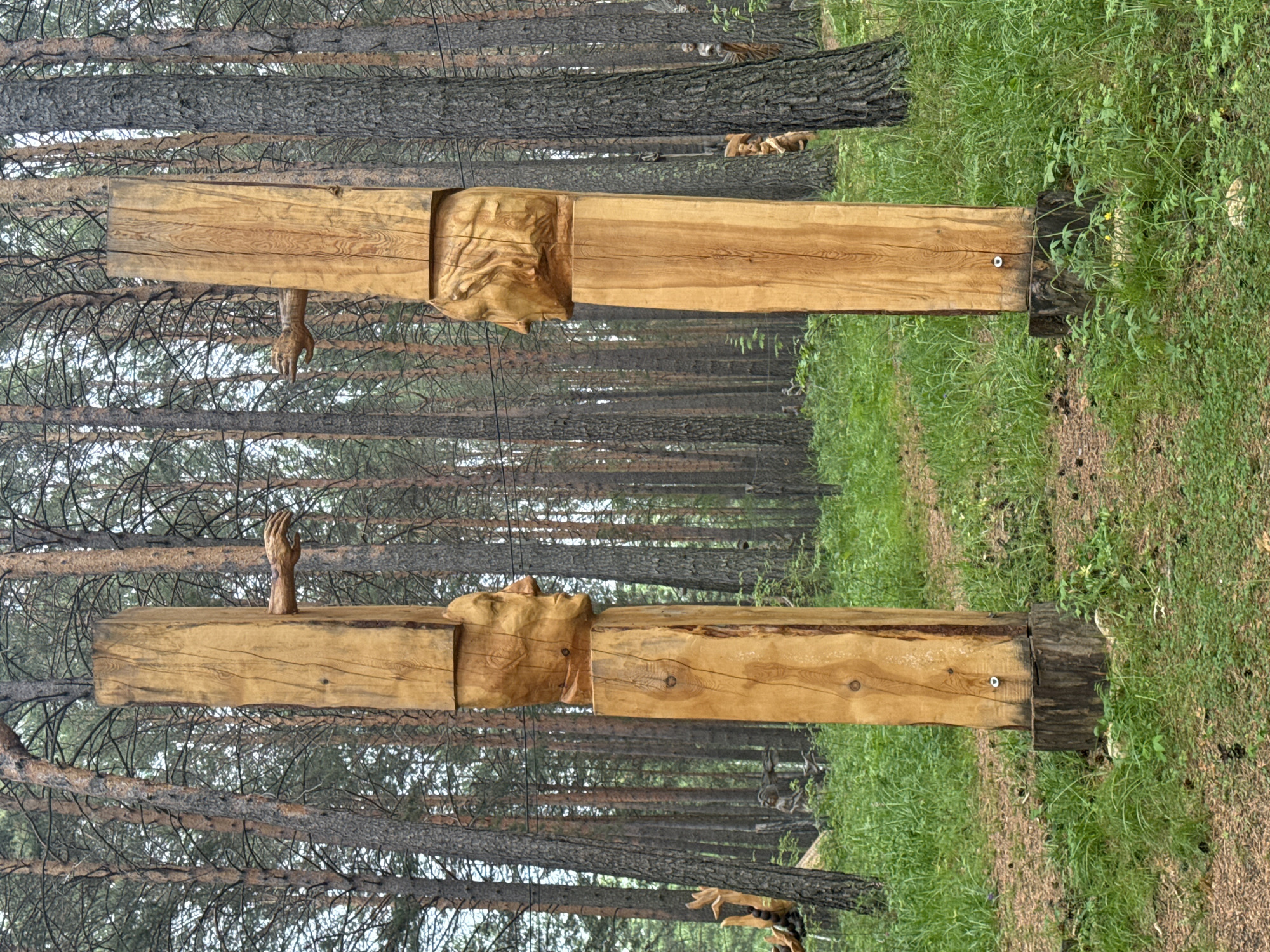 Two wooden sculptures of human heads with outstretched arms stand in a pine forest. The sculptures are made from roughly hewn logs, with carved faces and hands. The heads are positioned on top of rectangular wooden posts, which are supported by log bases. The forest floor is covered in green grass and pine needles, and tall pine trees surround the sculptures. The sky is overcast. The sculptures appear to be part of an outdoor art installation in the city of Savvateevka, Russia.
